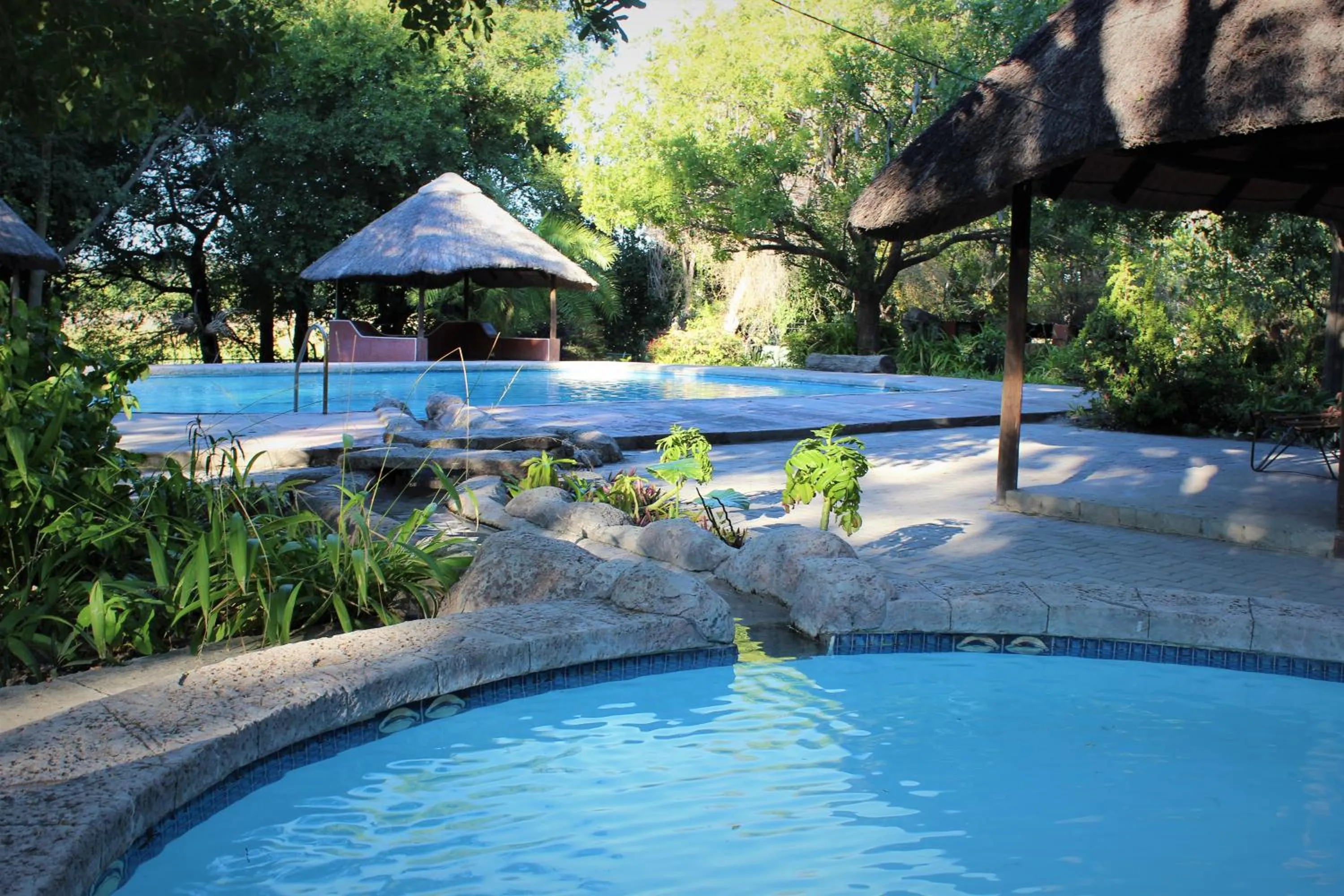 Swimming pool in Island Safari Lodge