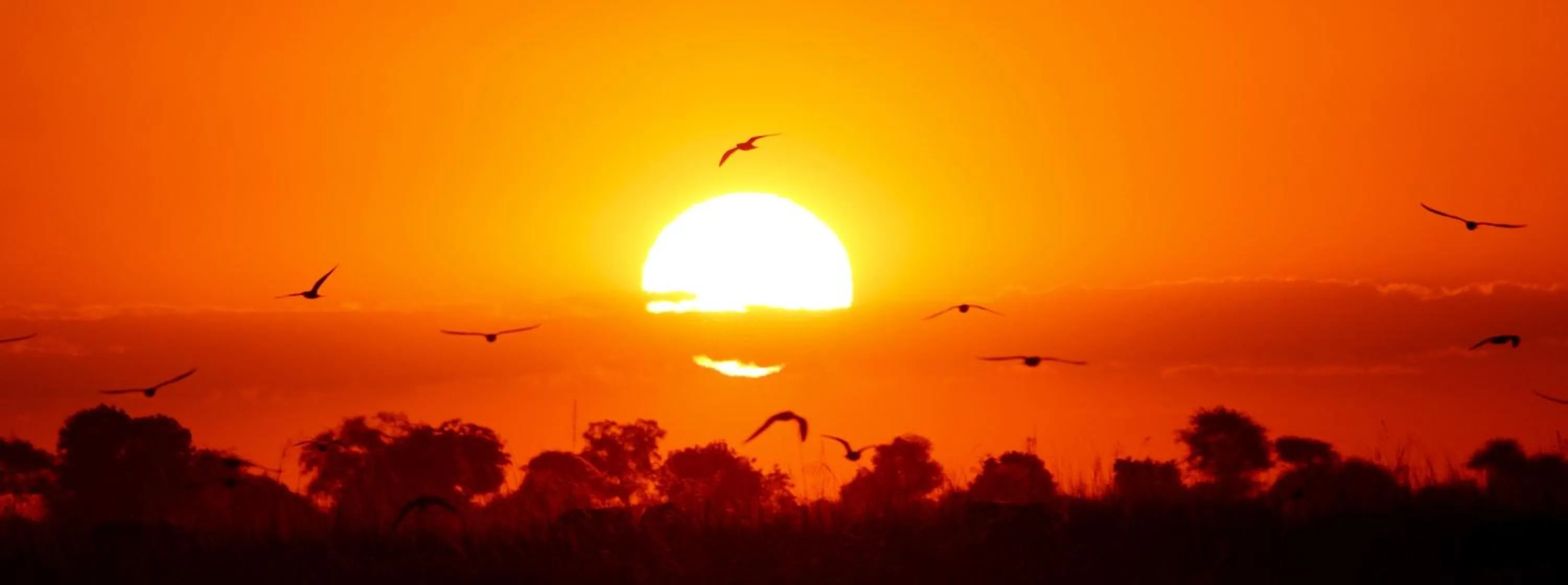 Natural landscape in Island Safari Lodge