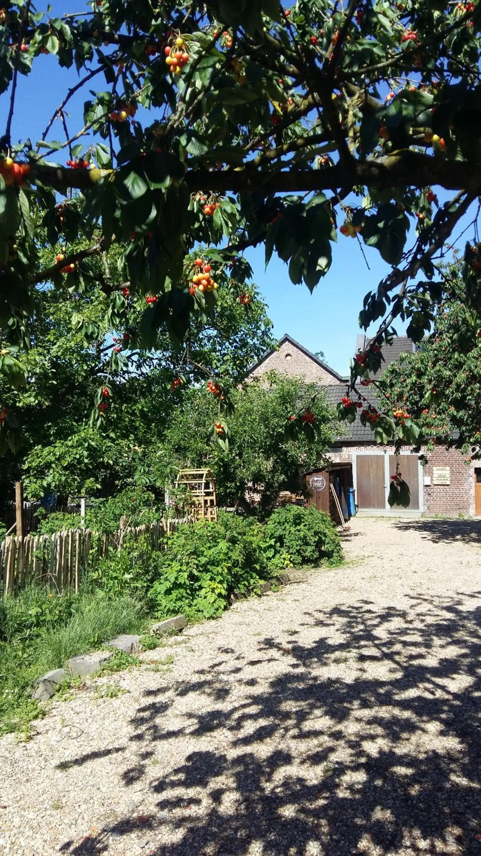 Property building in Bingers kleine Scheune