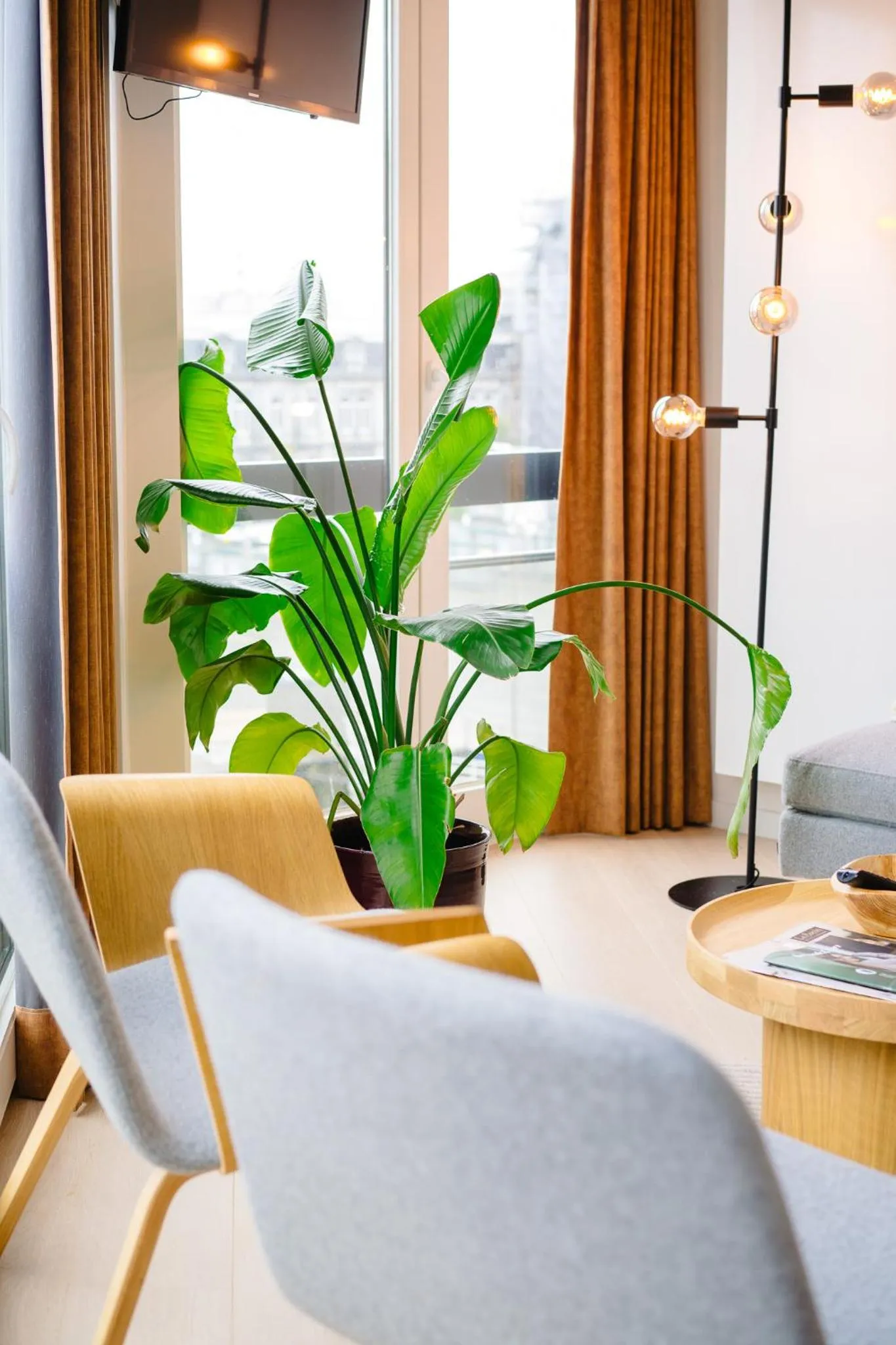 View (from property/room) in Hotel du Bassin