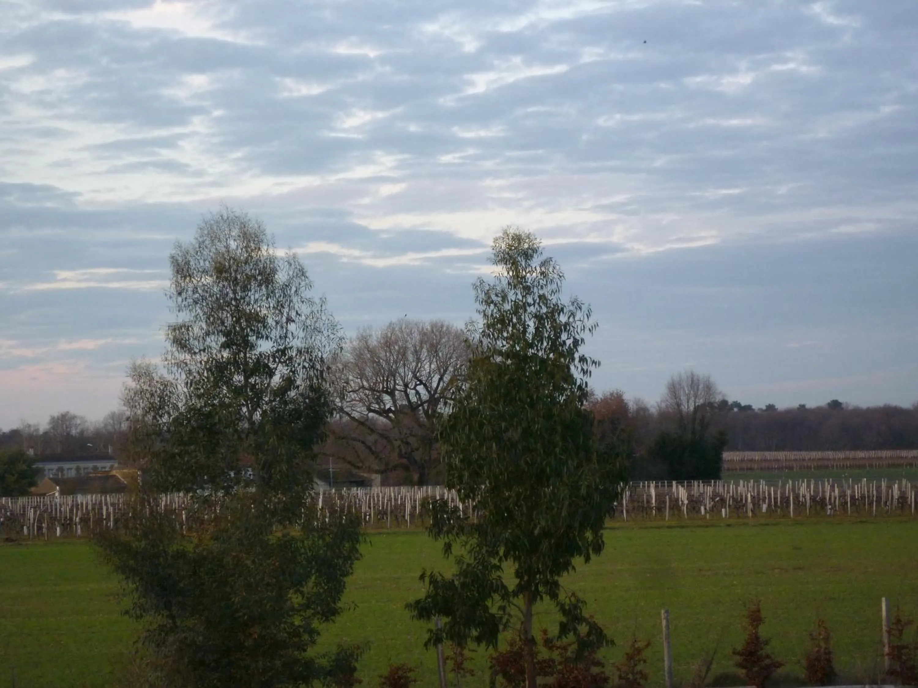 Garden in La SERPAUDERIE