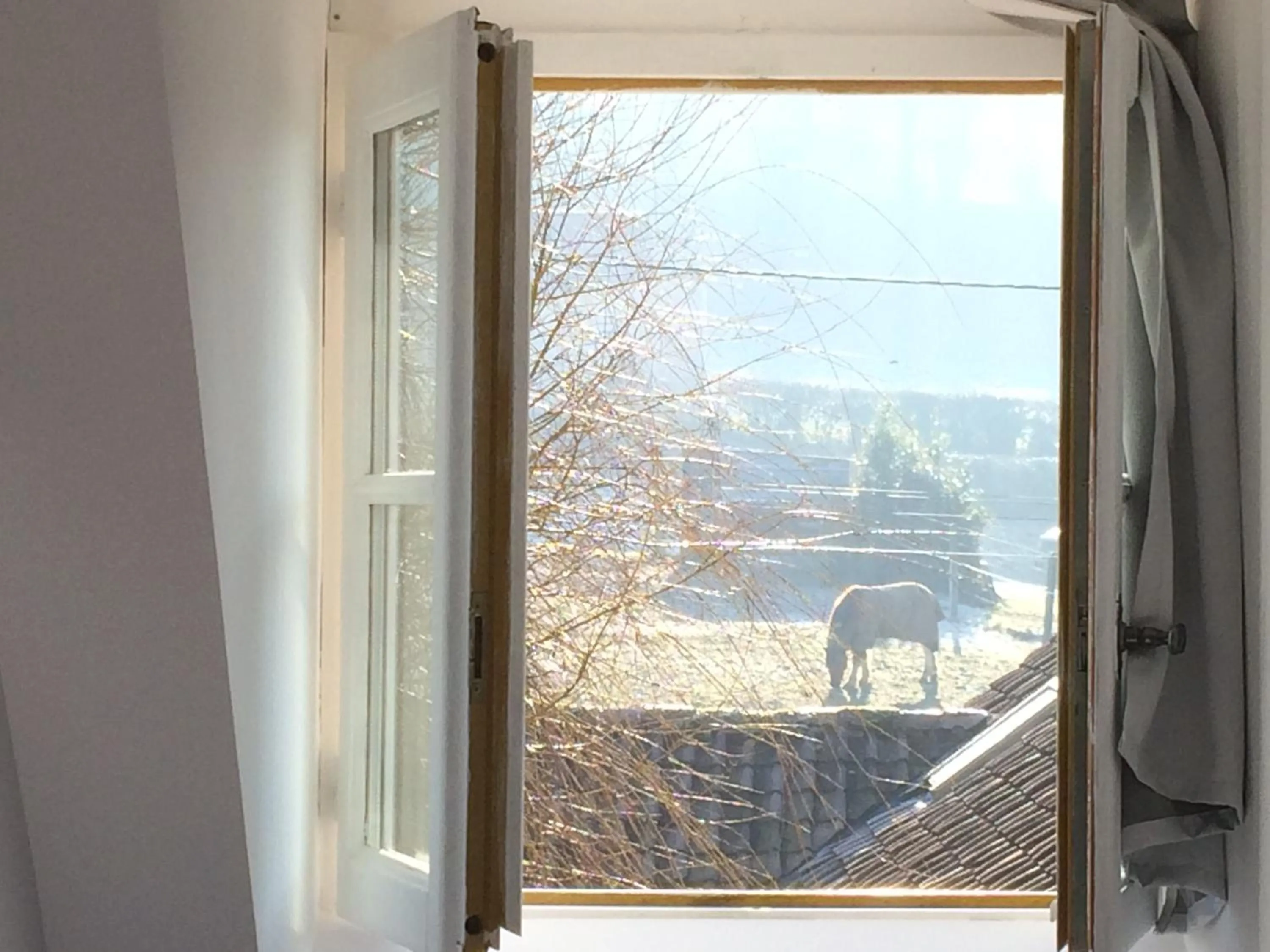 View (from property/room), Balcony/Terrace in Le Clos Dessyag