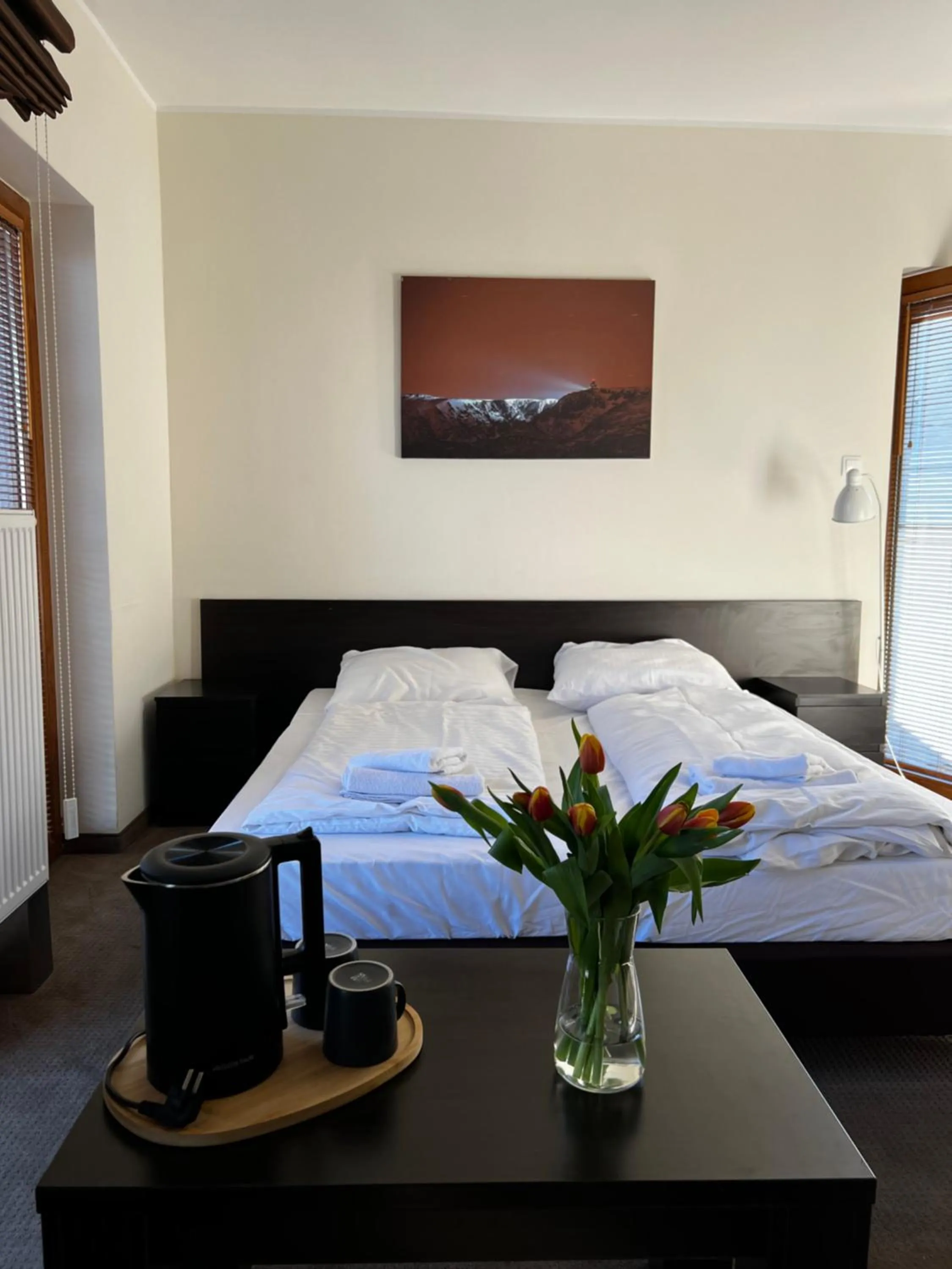 Bed in Szara Willa tuż przy wyciągu na Szrenicę