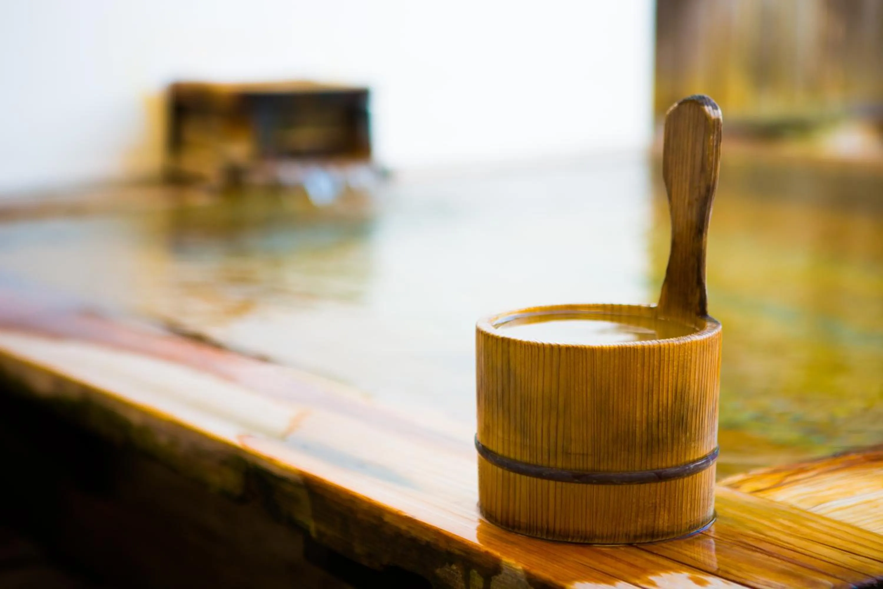 Hot Spring Bath in Hotel Sekitei