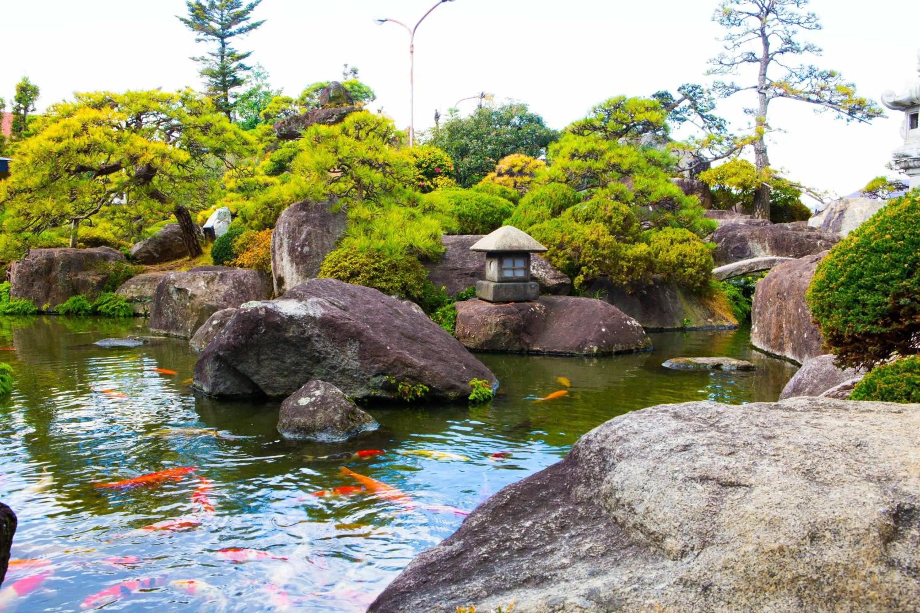 Garden in Hotel Sekitei