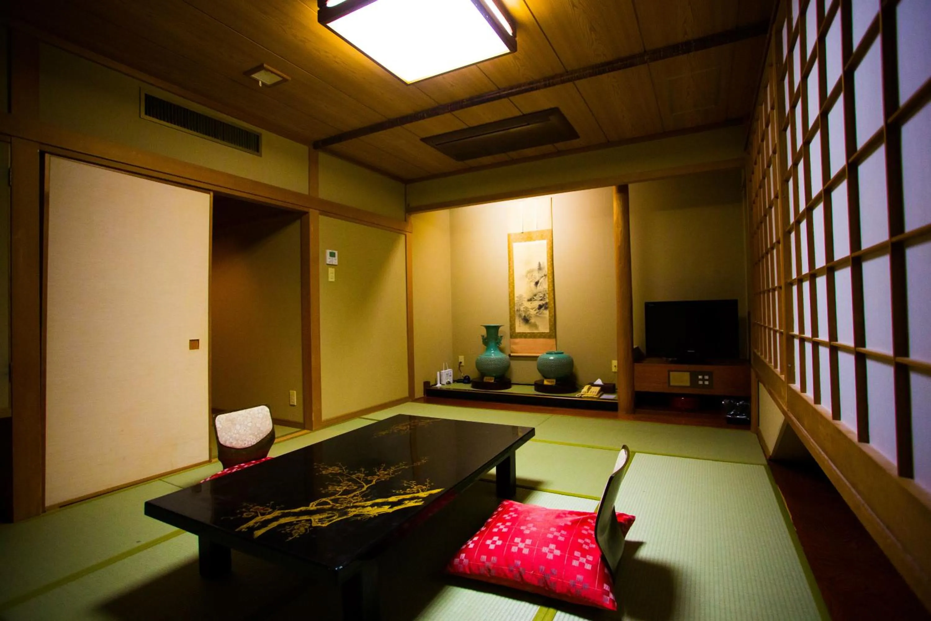 Photo of the whole room in Hotel Sekitei