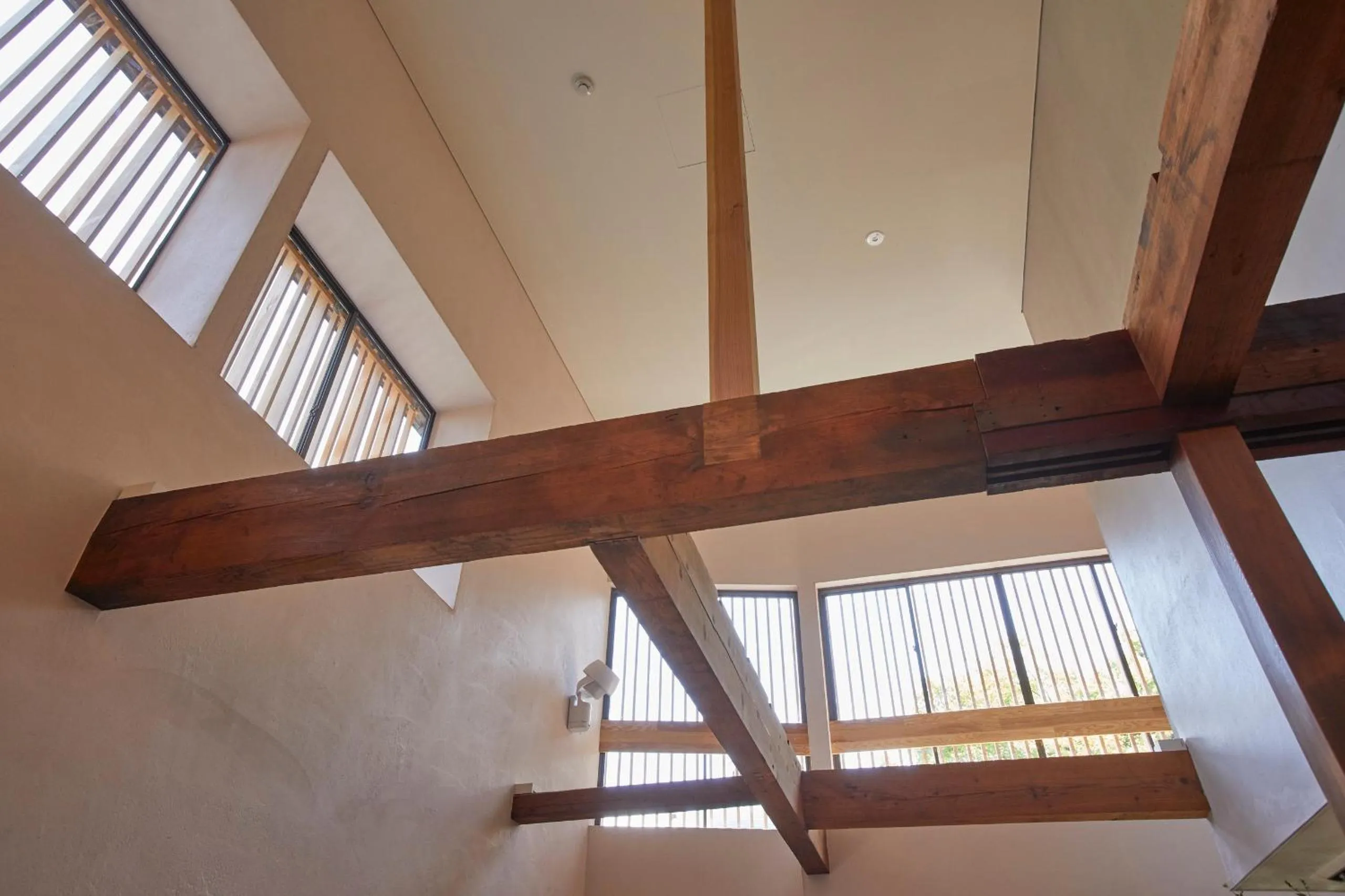 Restaurant/places to eat in Ichiraku tendo spa & brewery