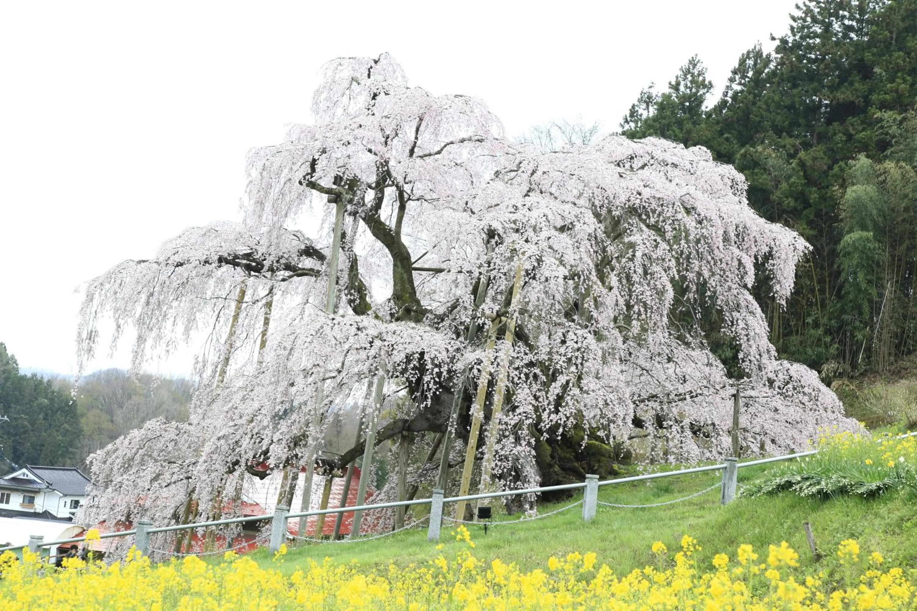 Nearby landmark in APA Hotel Fukushima Ekimae