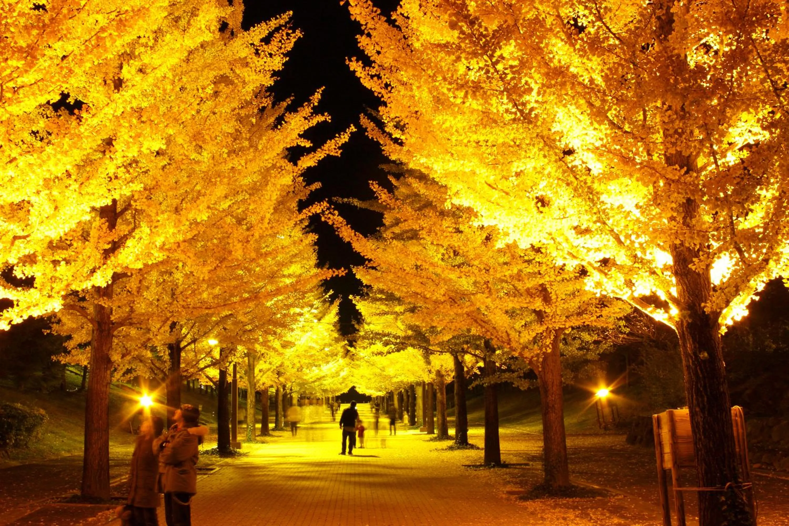 Nearby landmark in APA Hotel Fukushima Ekimae