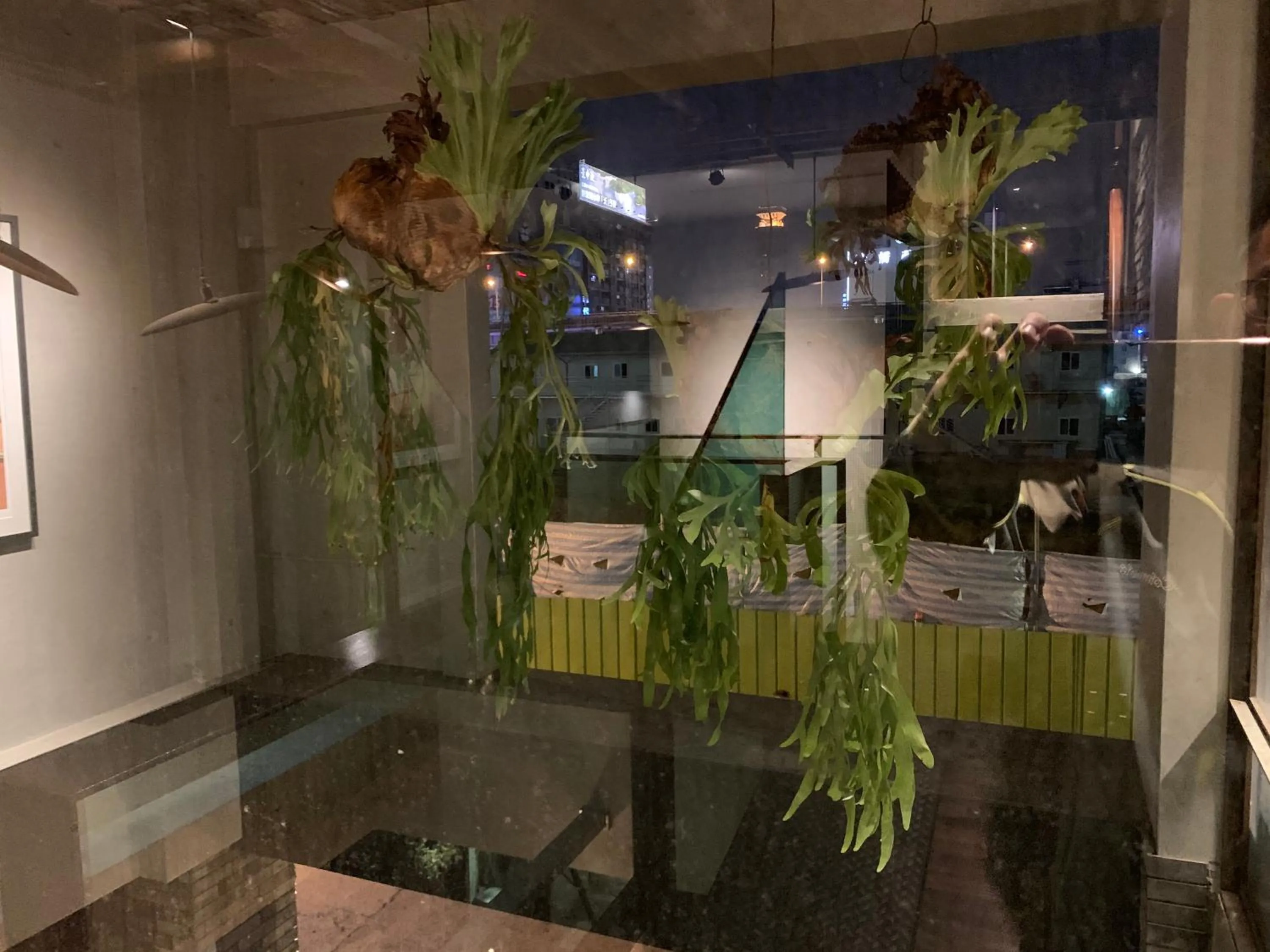 Communal lounge/ TV room in PAPO'A Hotel