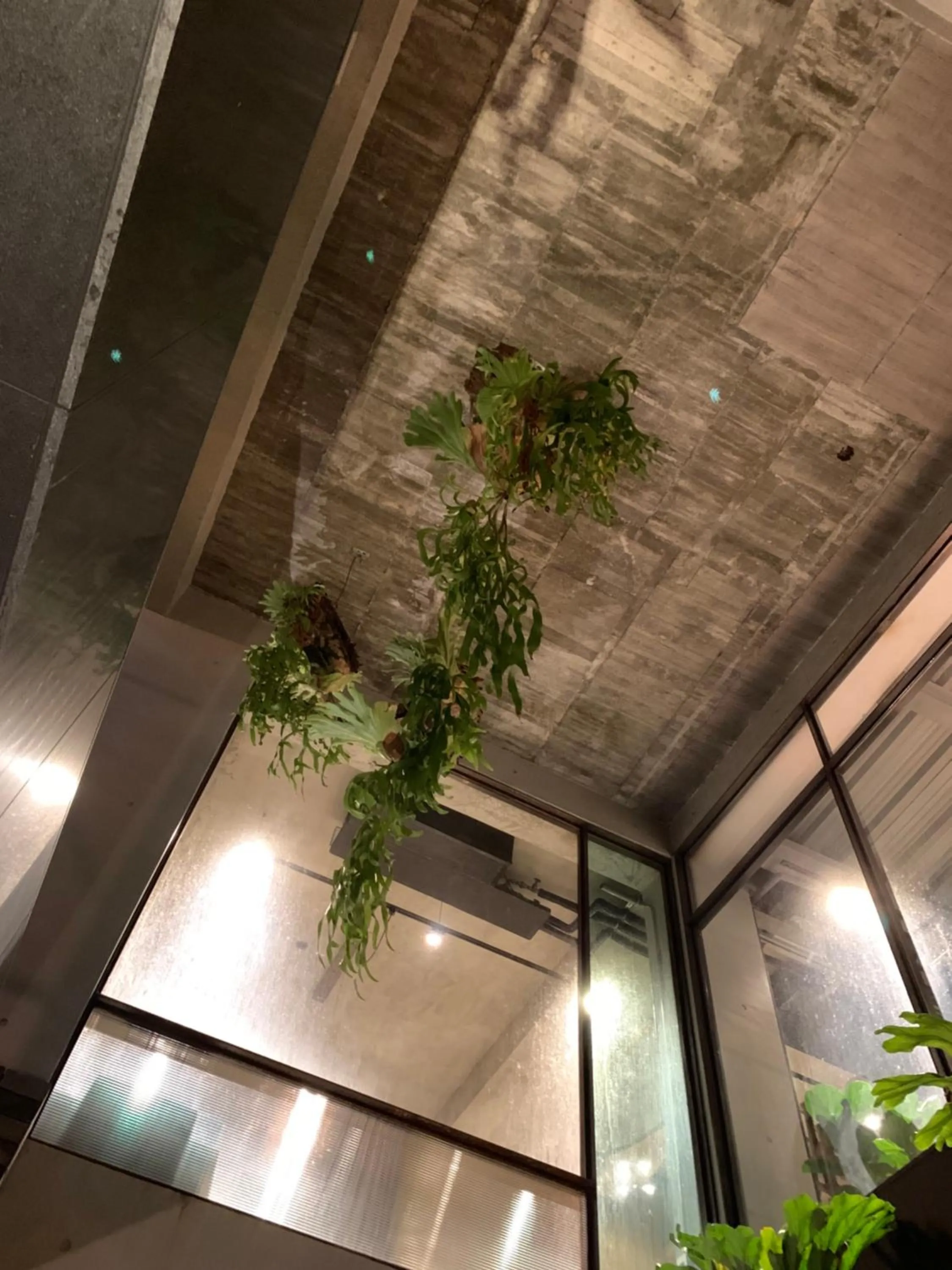 Facade/entrance in PAPO'A Hotel