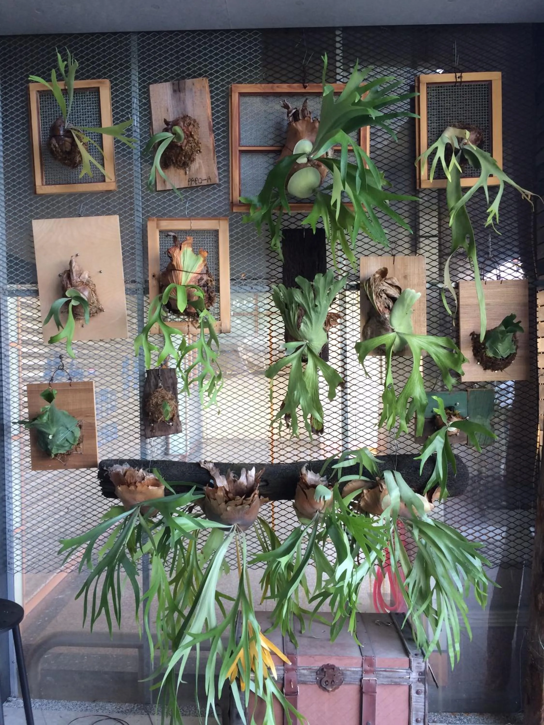 Patio in PAPO'A Hotel