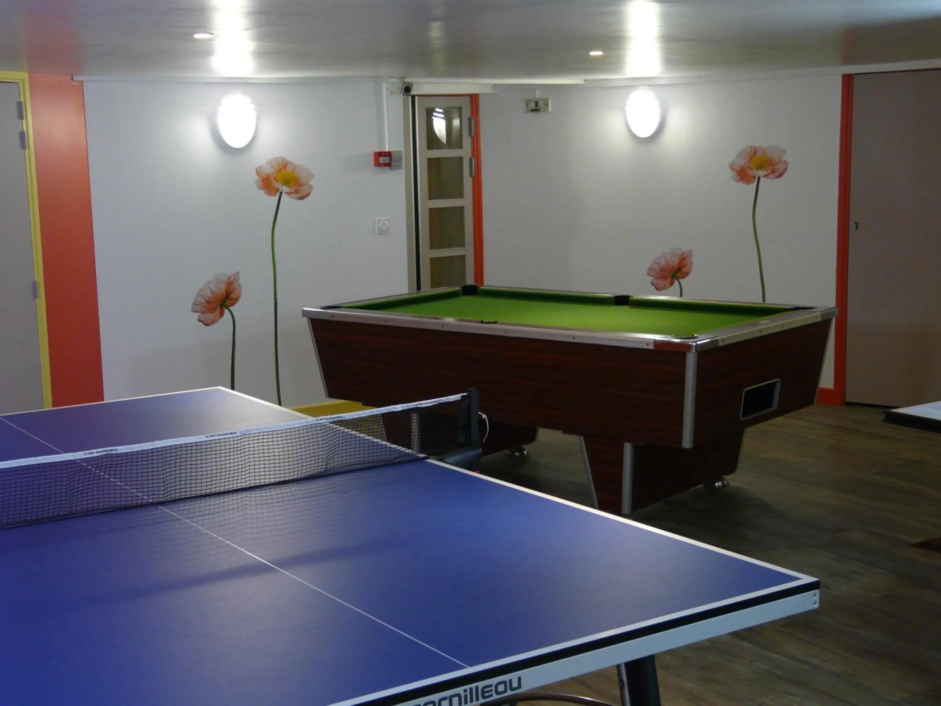 Billiard in Hôtel de l'Aviation