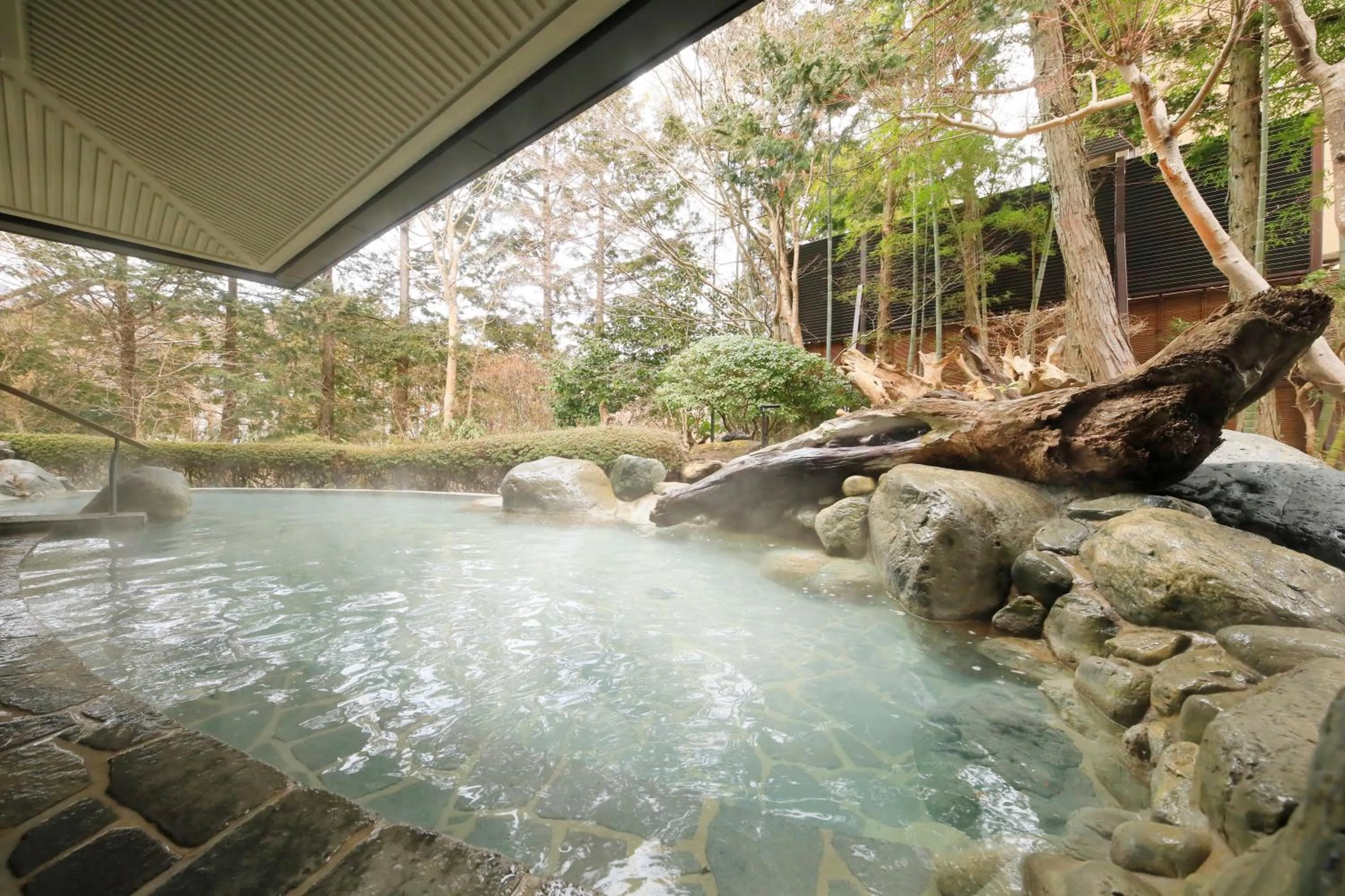 Hot Spring Bath in Hakone Hisui