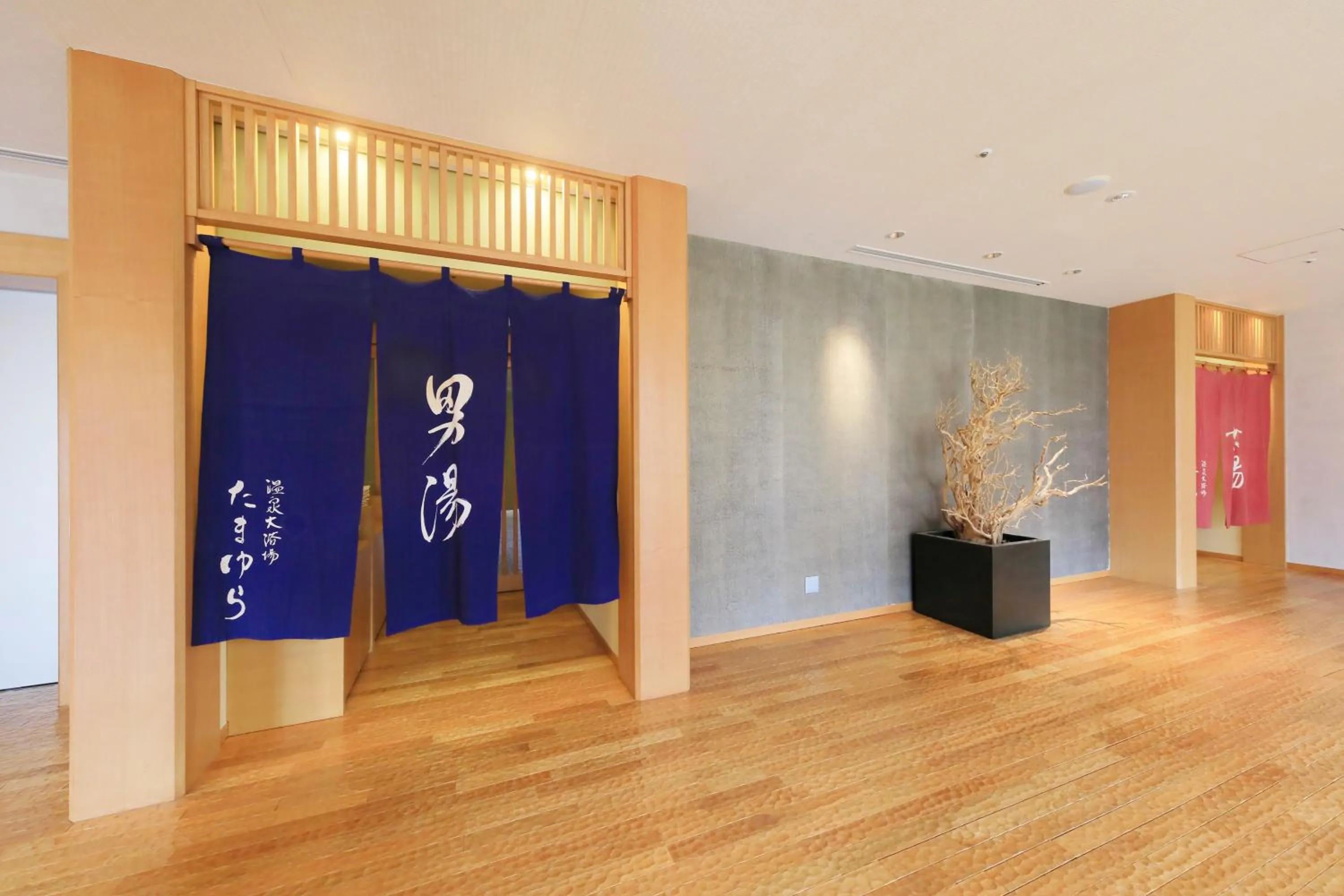 Public Bath in Hakone Hisui