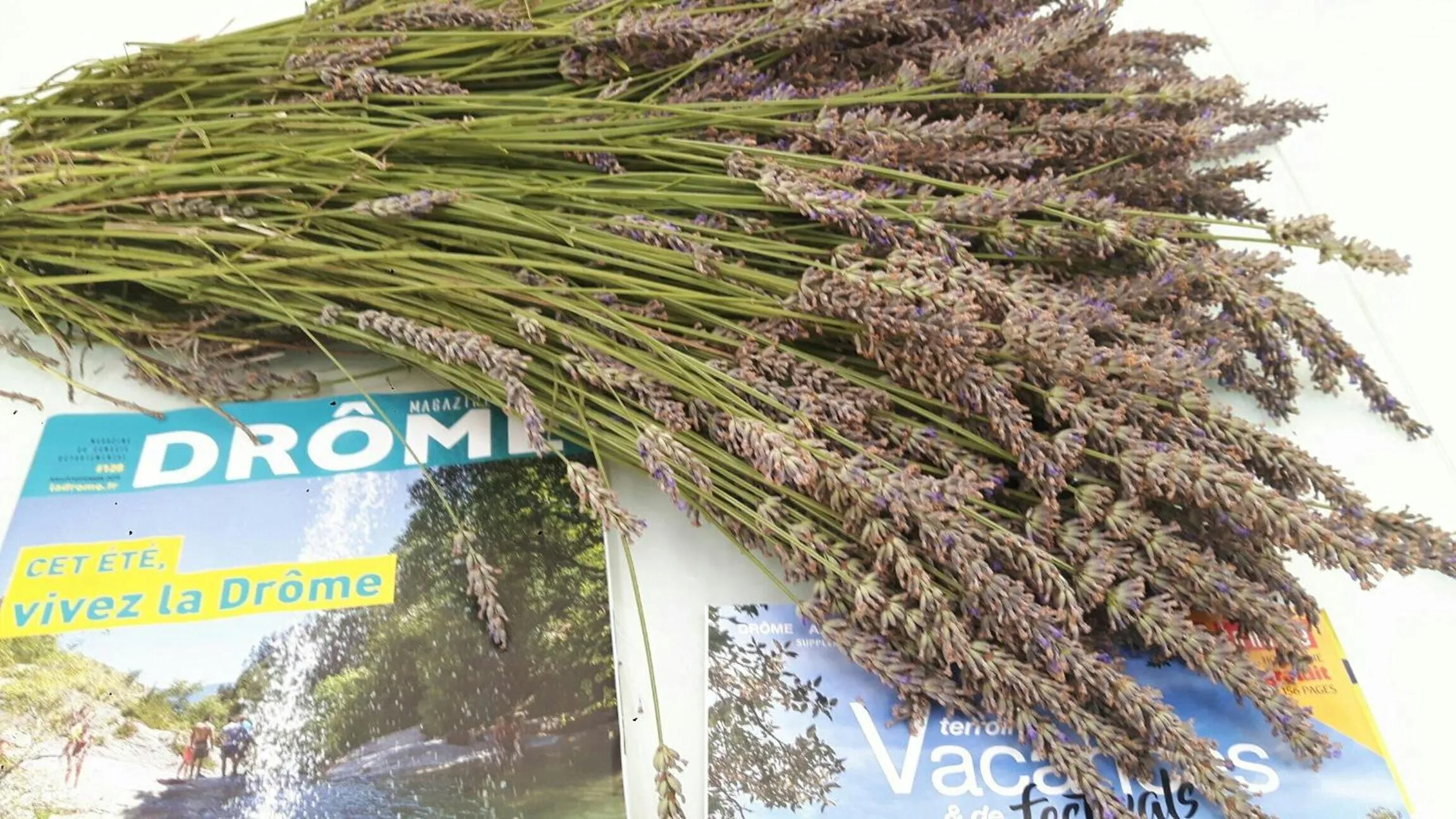 Text overlay in Louminai