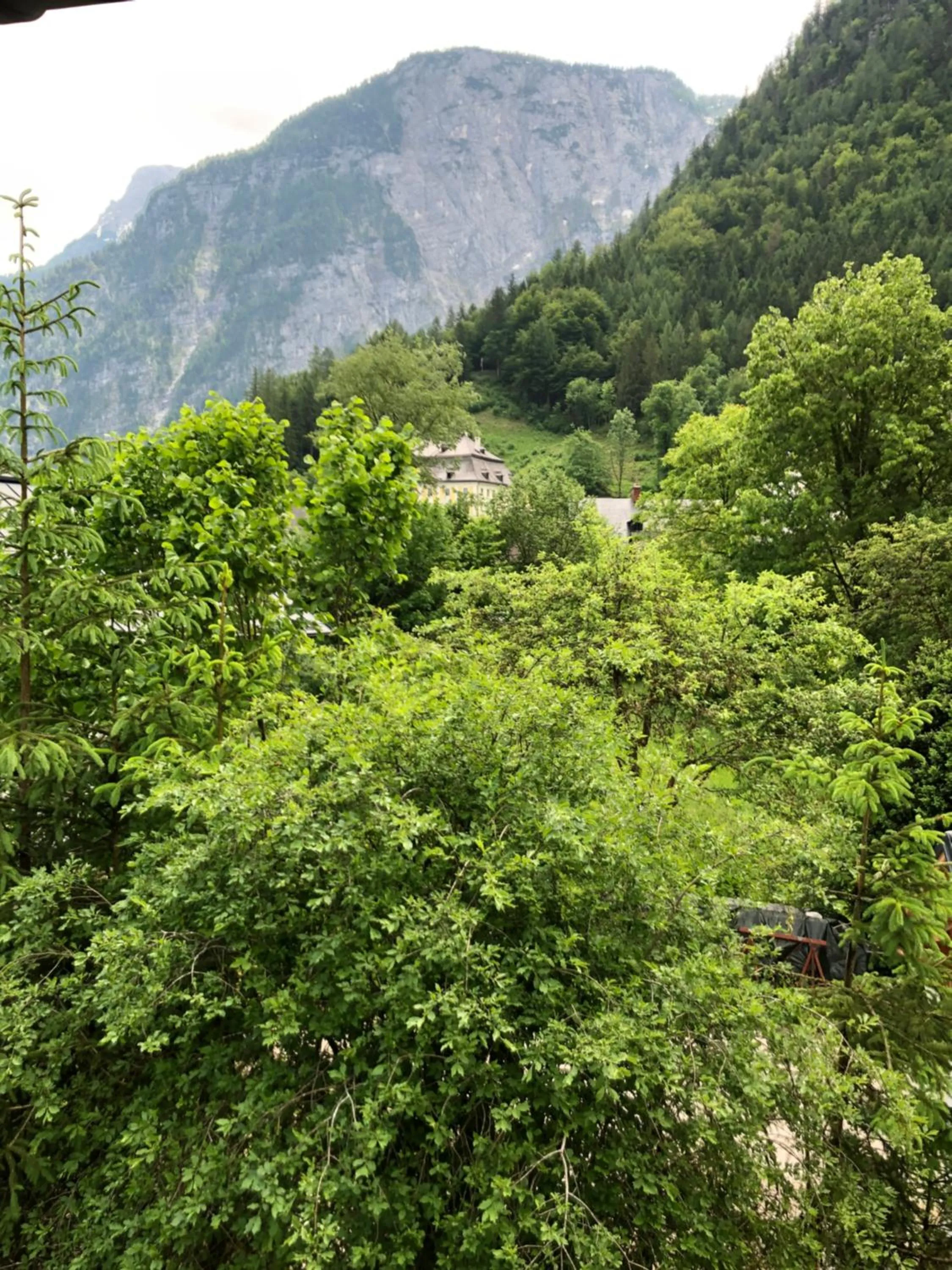 Fenix Hall Boutique Hotel Hallstatt
