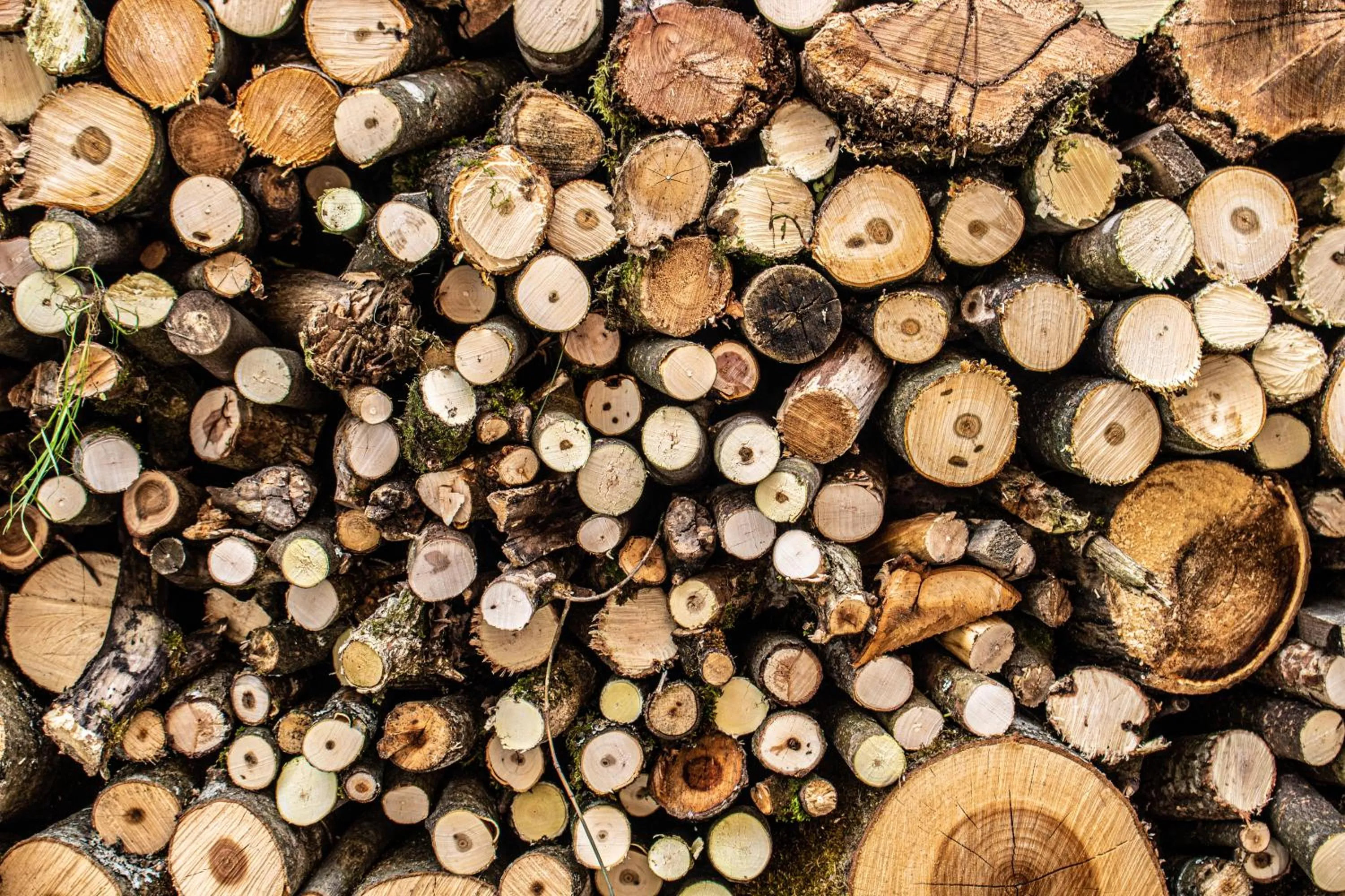 Fenix Hall Boutique Hotel Hallstatt