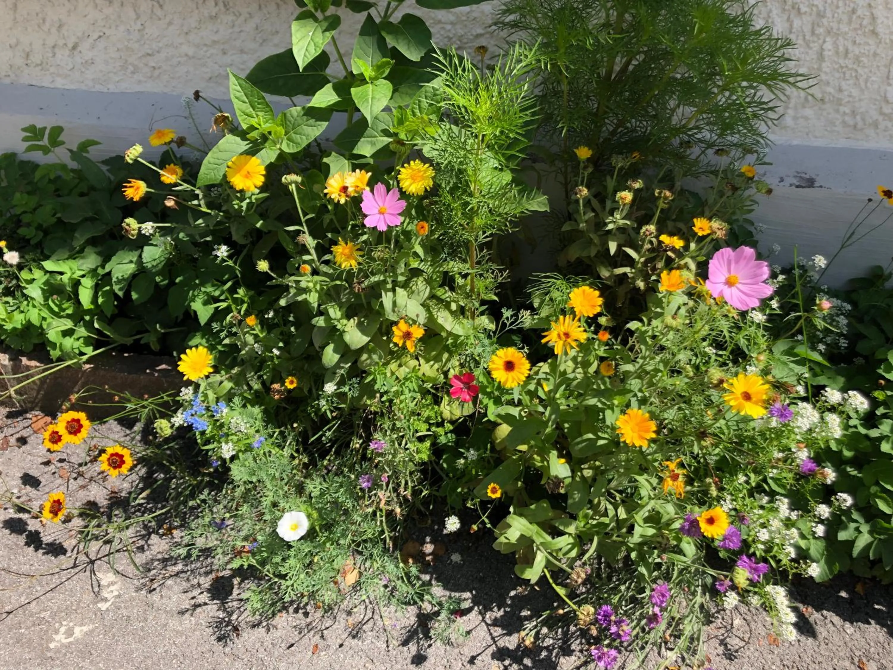 Fenix Hall Boutique Hotel Hallstatt