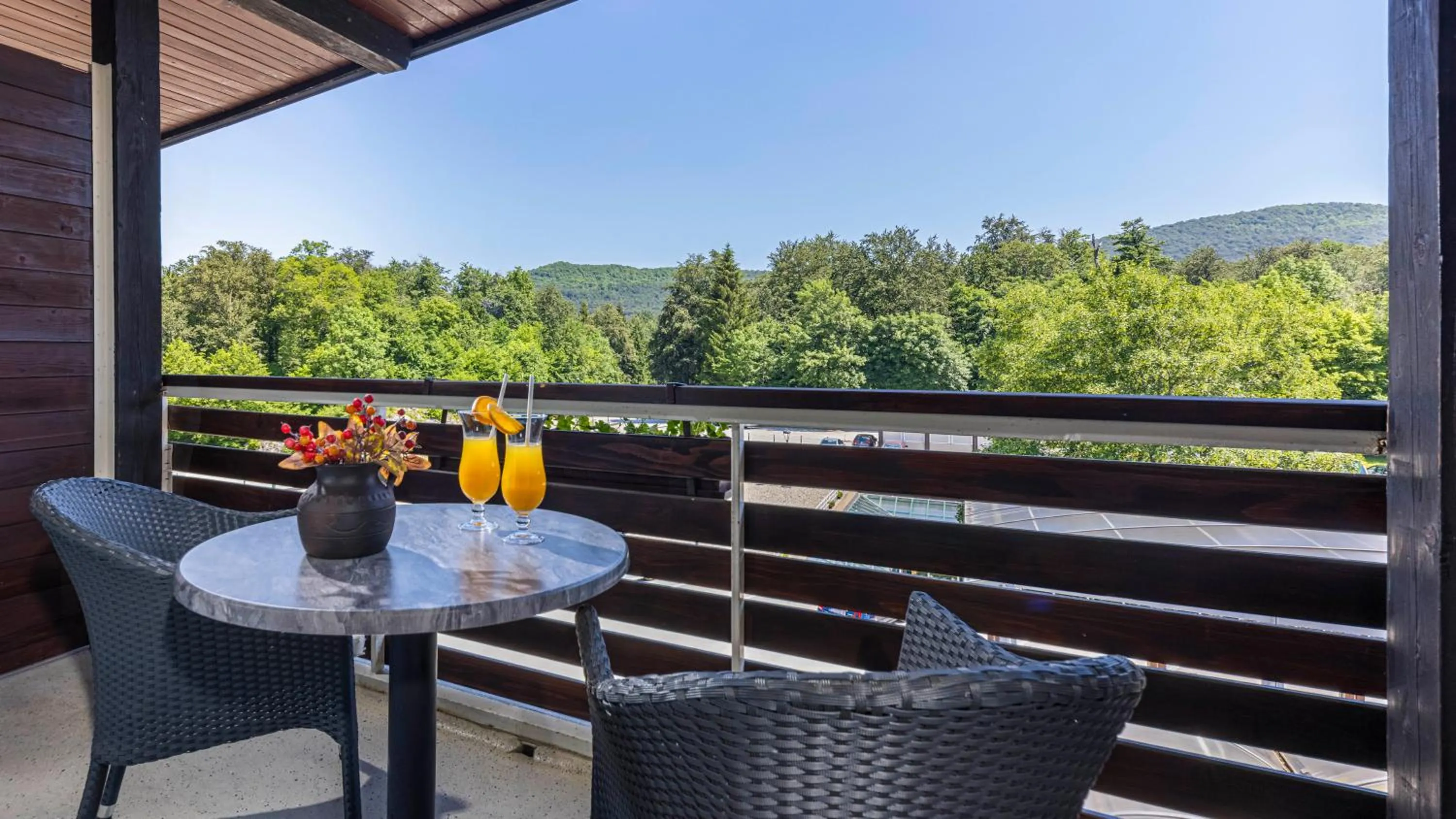 Balcony/Terrace in Hotel Jezero - Plitvice Lakes National Park