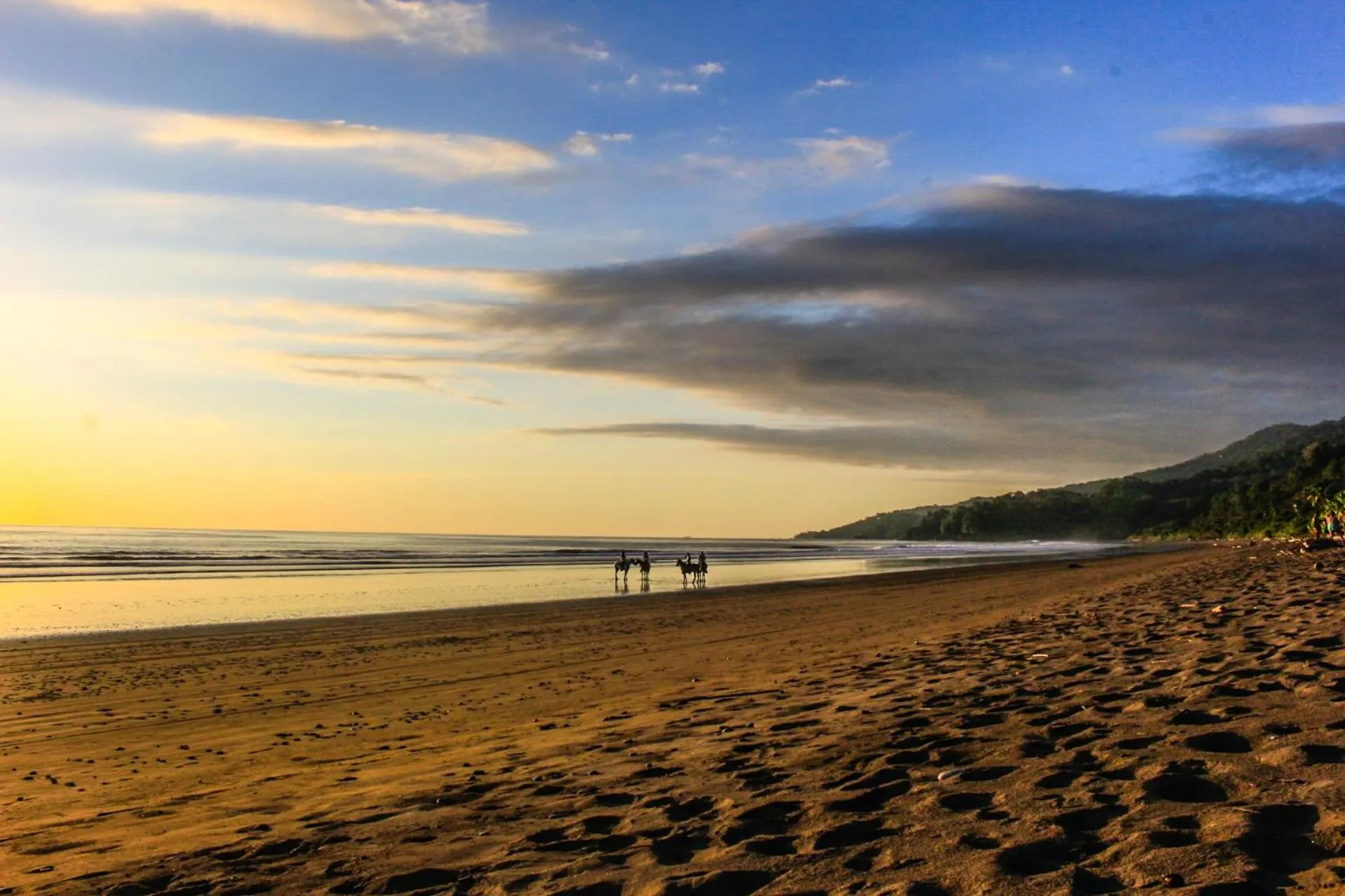 Natural landscape in Cabinas Bahía Uvita - Marino Ballena National Park Lodge