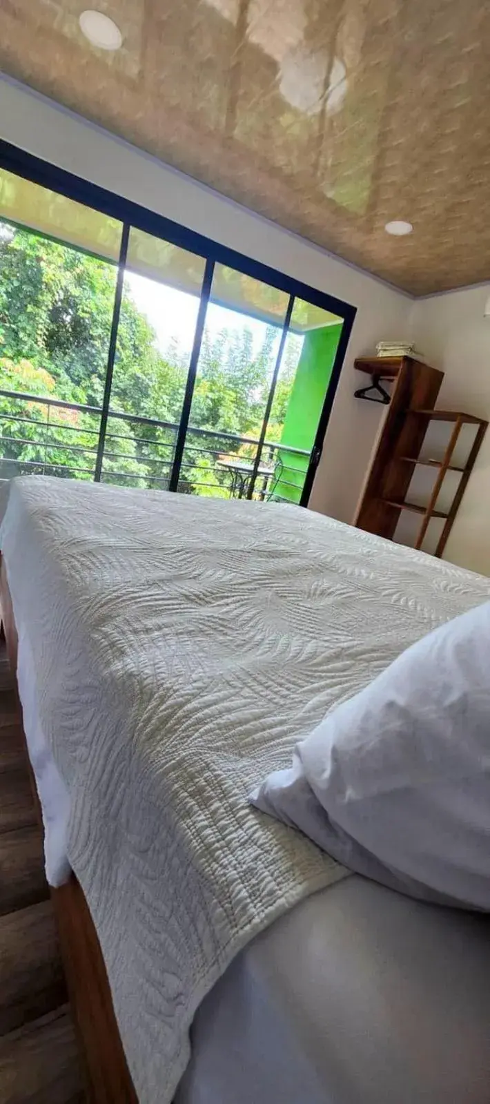 Queen Studio in Sunshine Sanctuary Boutique Jungle Lodge Queen Studio in Sunshine Sanctuary Boutique Jungle Lodge
