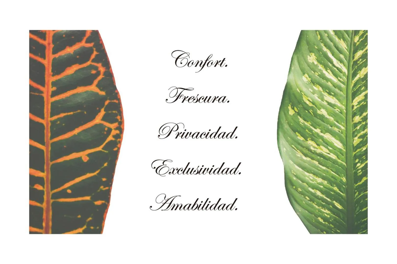 Logo/Certificate/Sign in Hotel Manantial