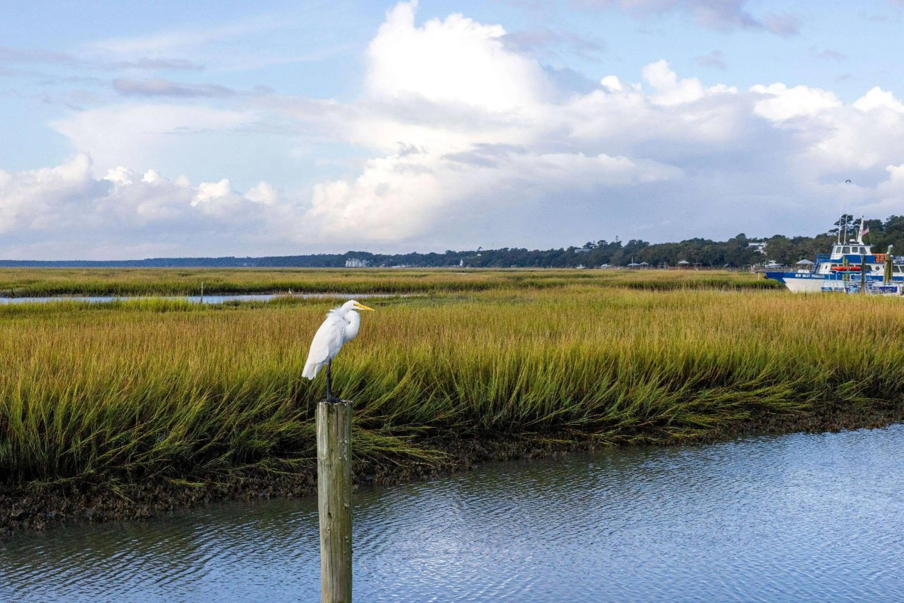 Other in Sea Mystique Resort