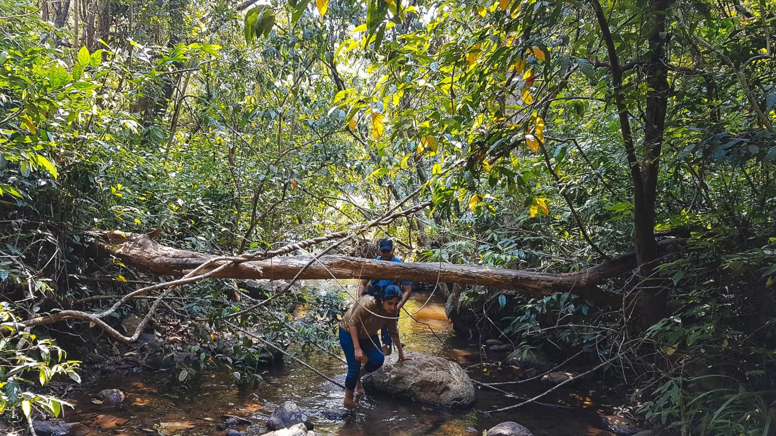 Activities in Wayanad Wild - A CGH Earth Experience