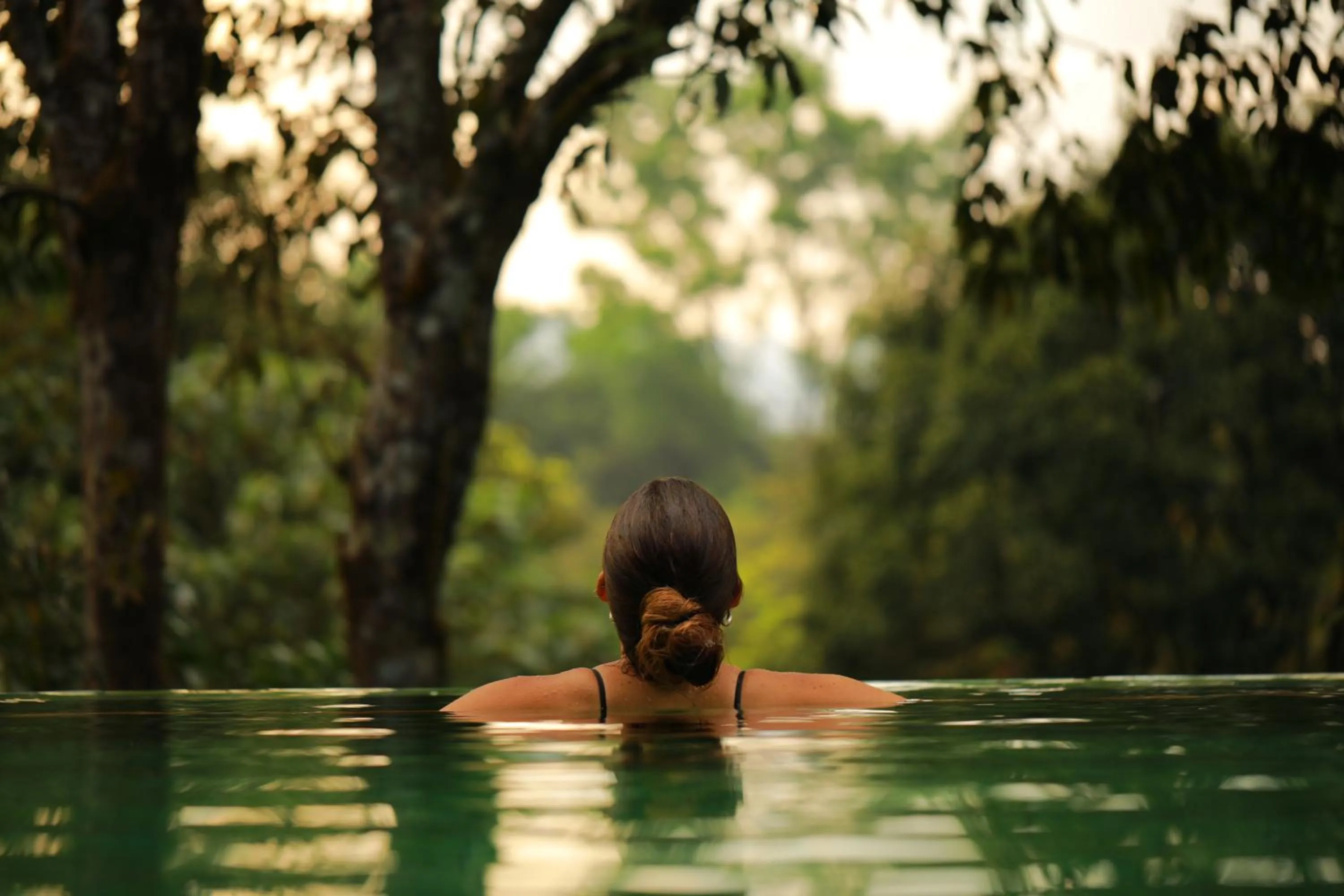 Swimming pool in Wayanad Wild - A CGH Earth Experience