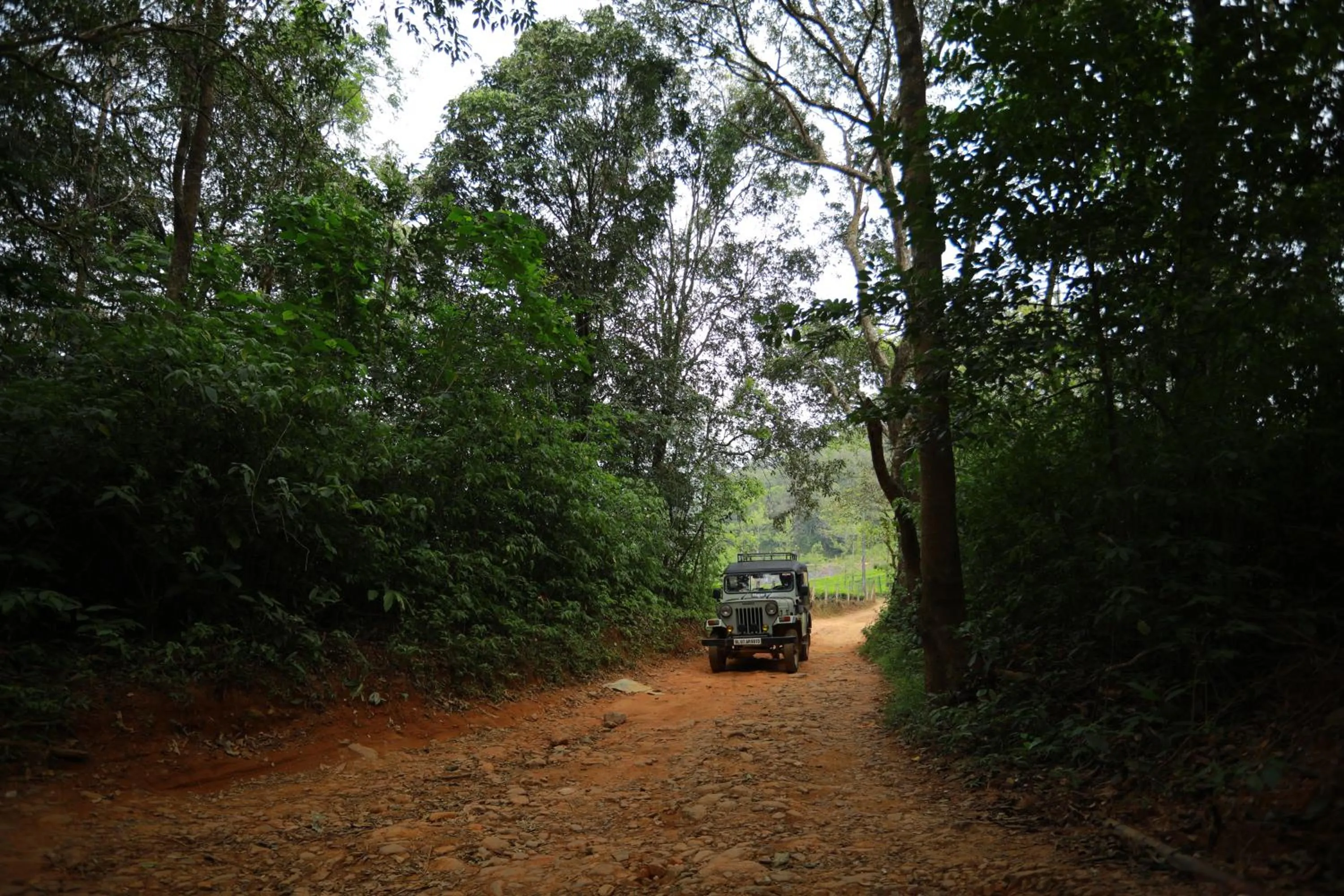 Natural landscape in Wayanad Wild - A CGH Earth Experience