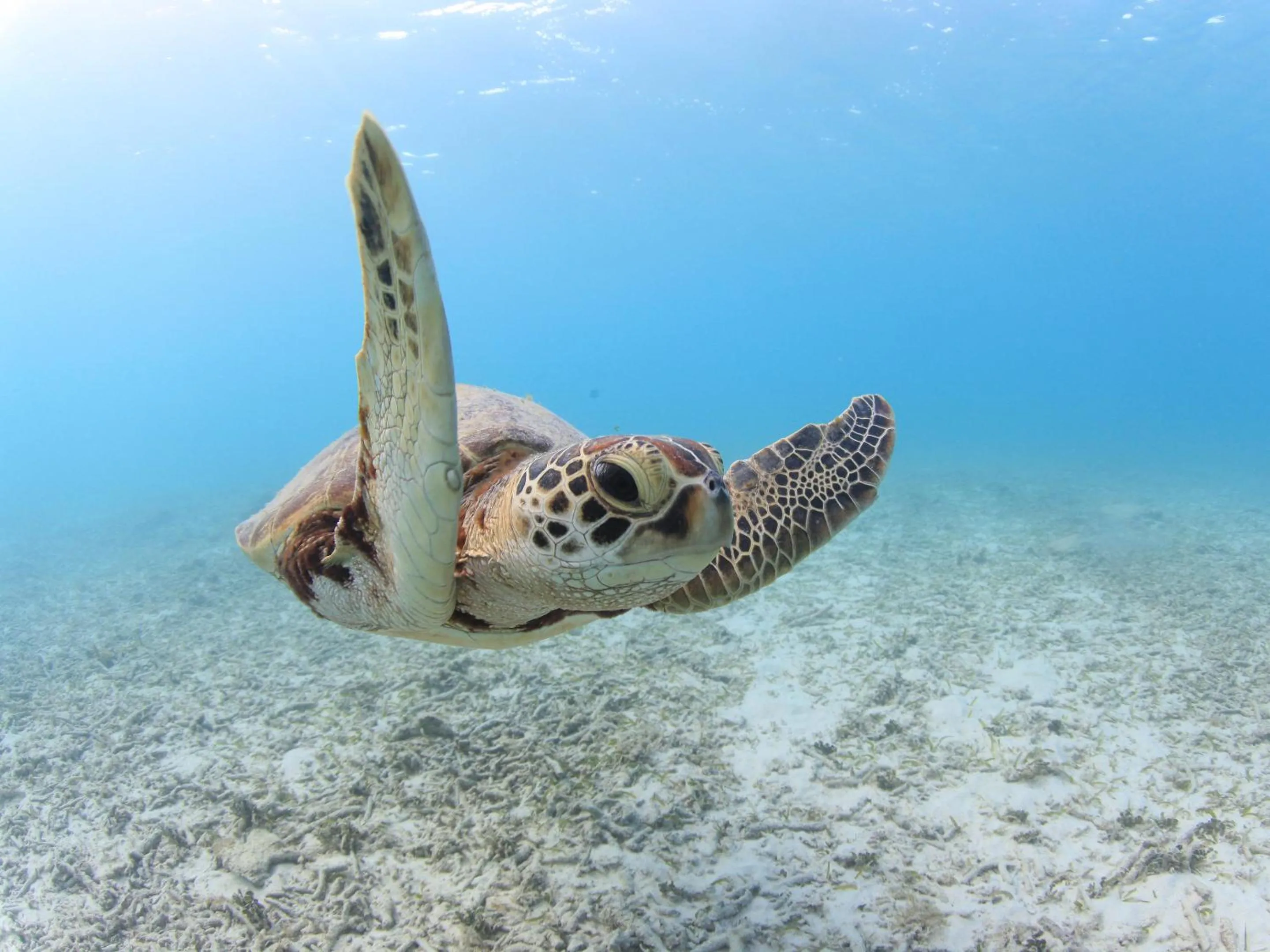 Off site in Tokashiku Marine Villege