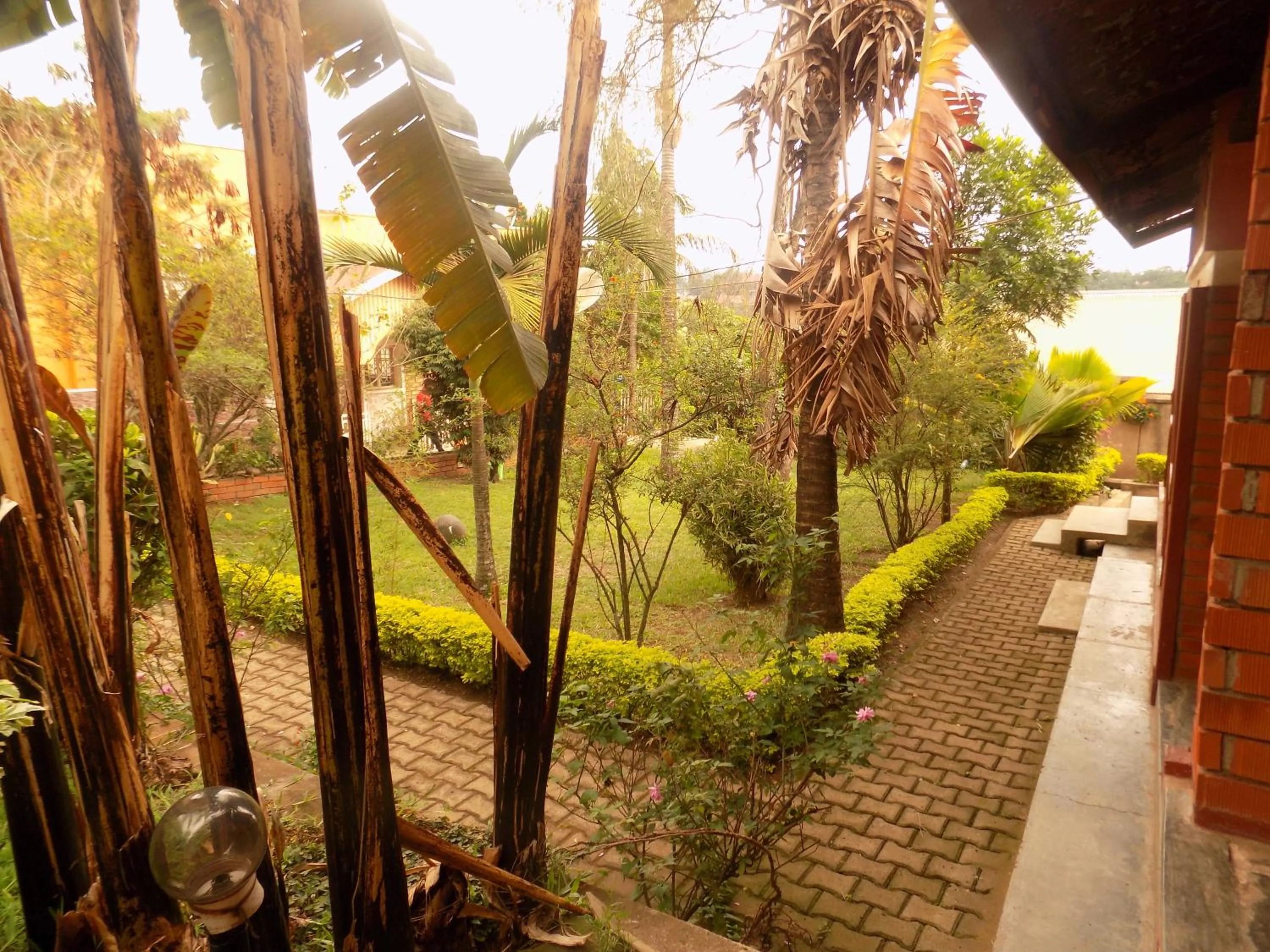 Garden in Meliva Guest House Mbarara