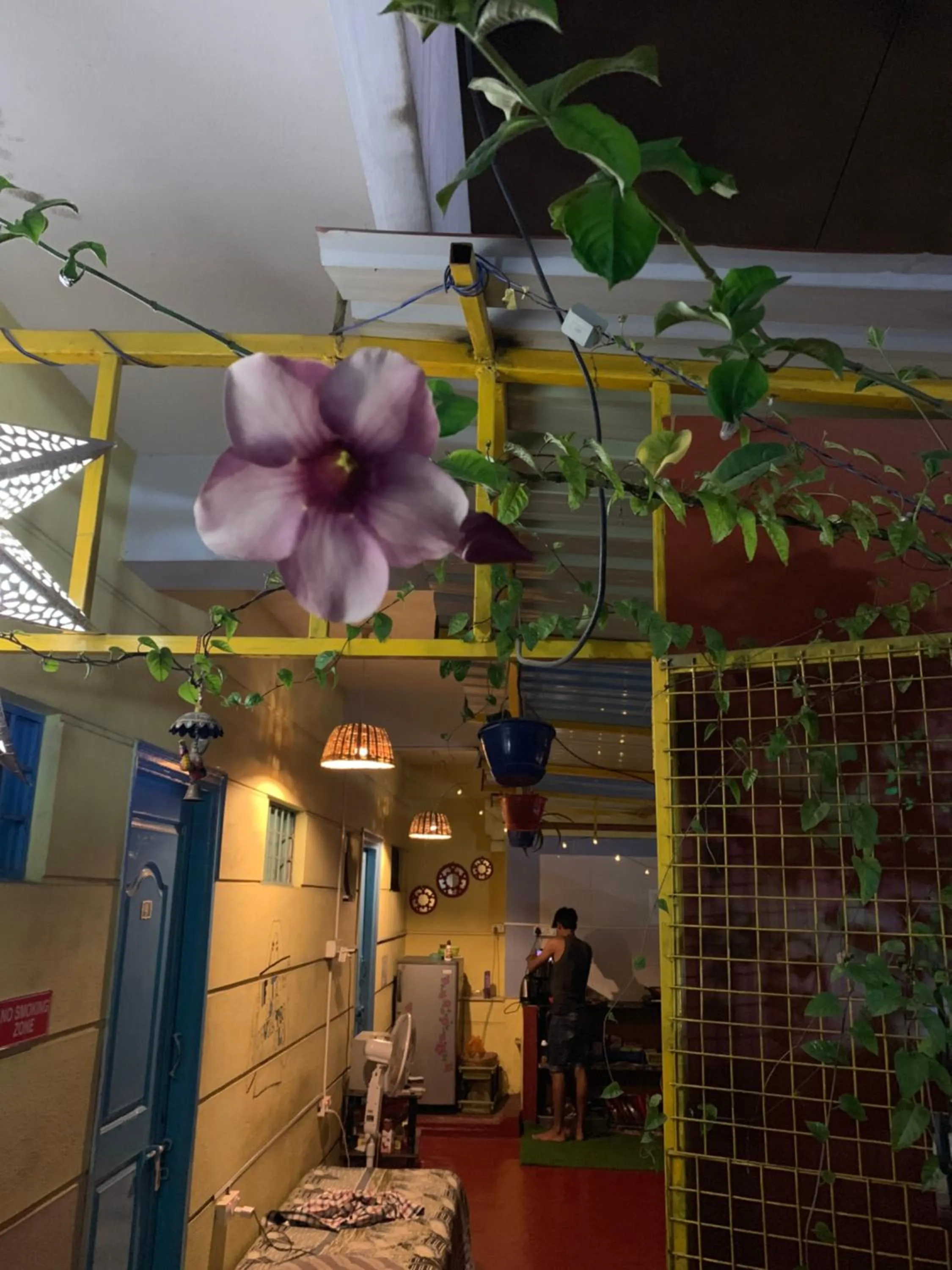 Decorative detail in The Little Blue Window Hostel