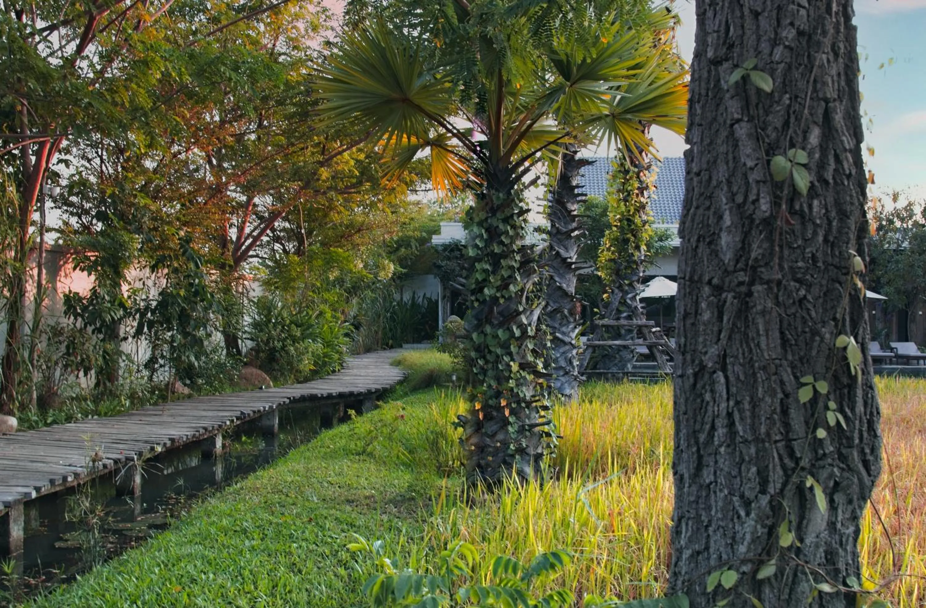 Garden in Le Chanthou Boutique