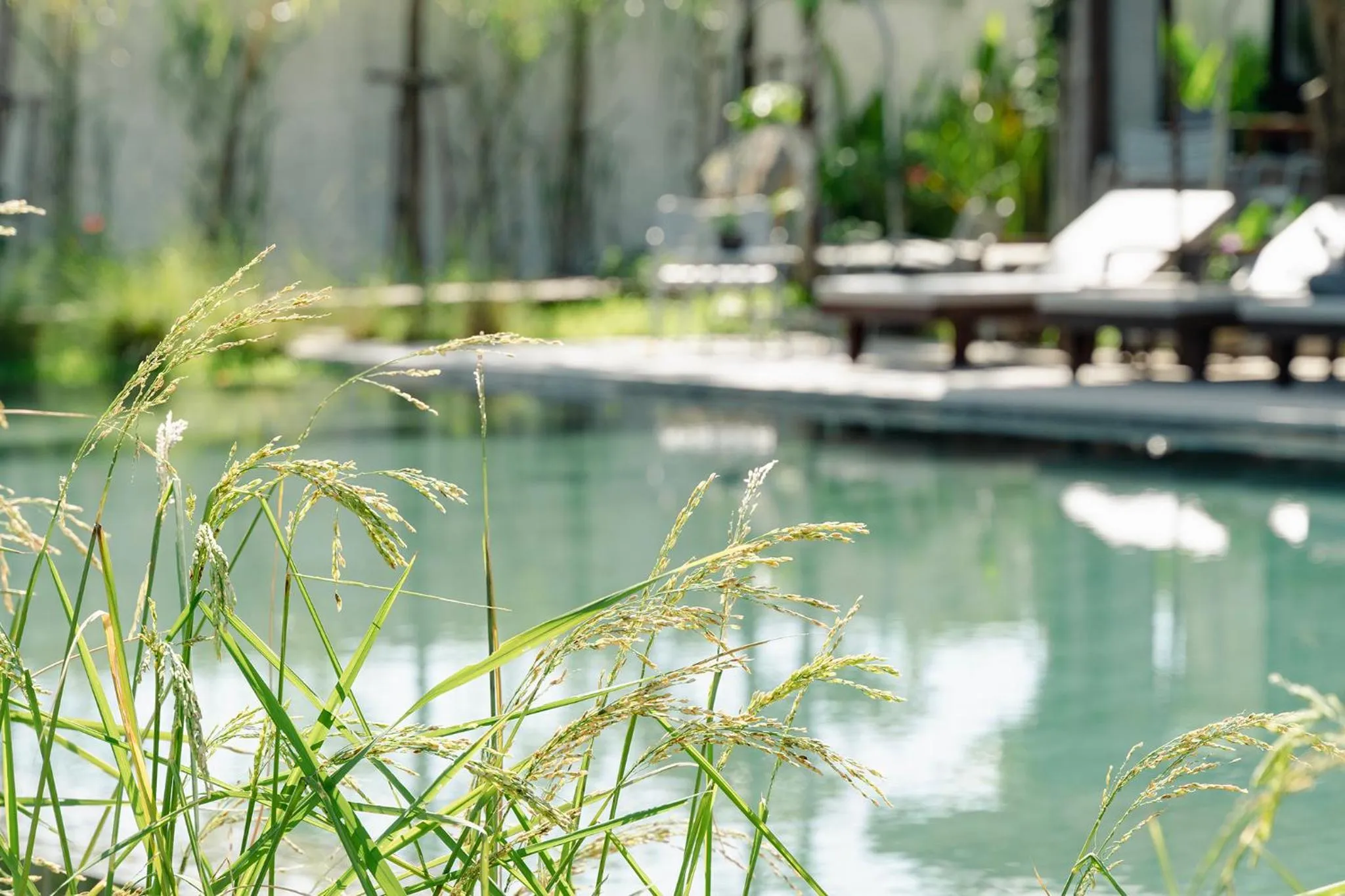 Swimming pool in Le Chanthou Boutique