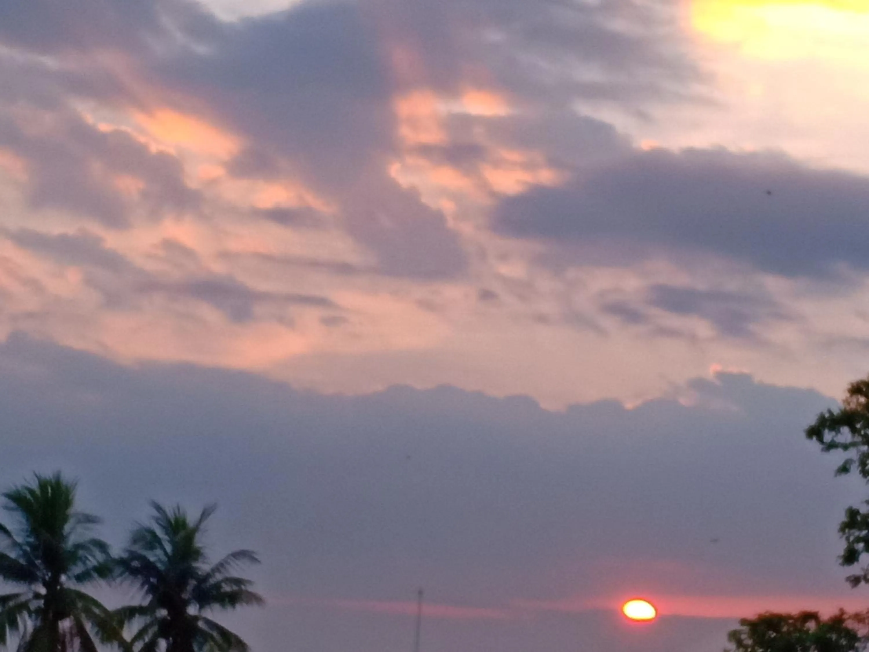 Other in Dewi Garden Guesthouse