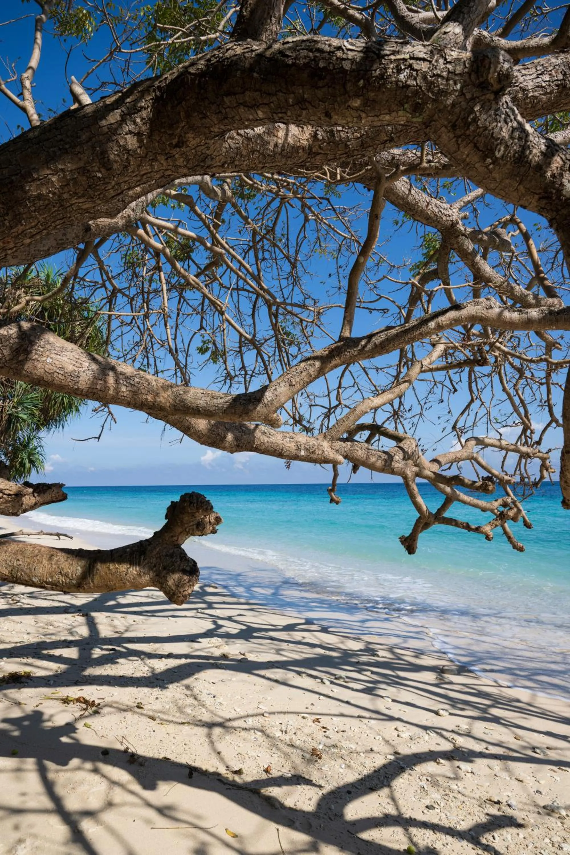 Beach in Casa Nemo Beach Resort & Spa