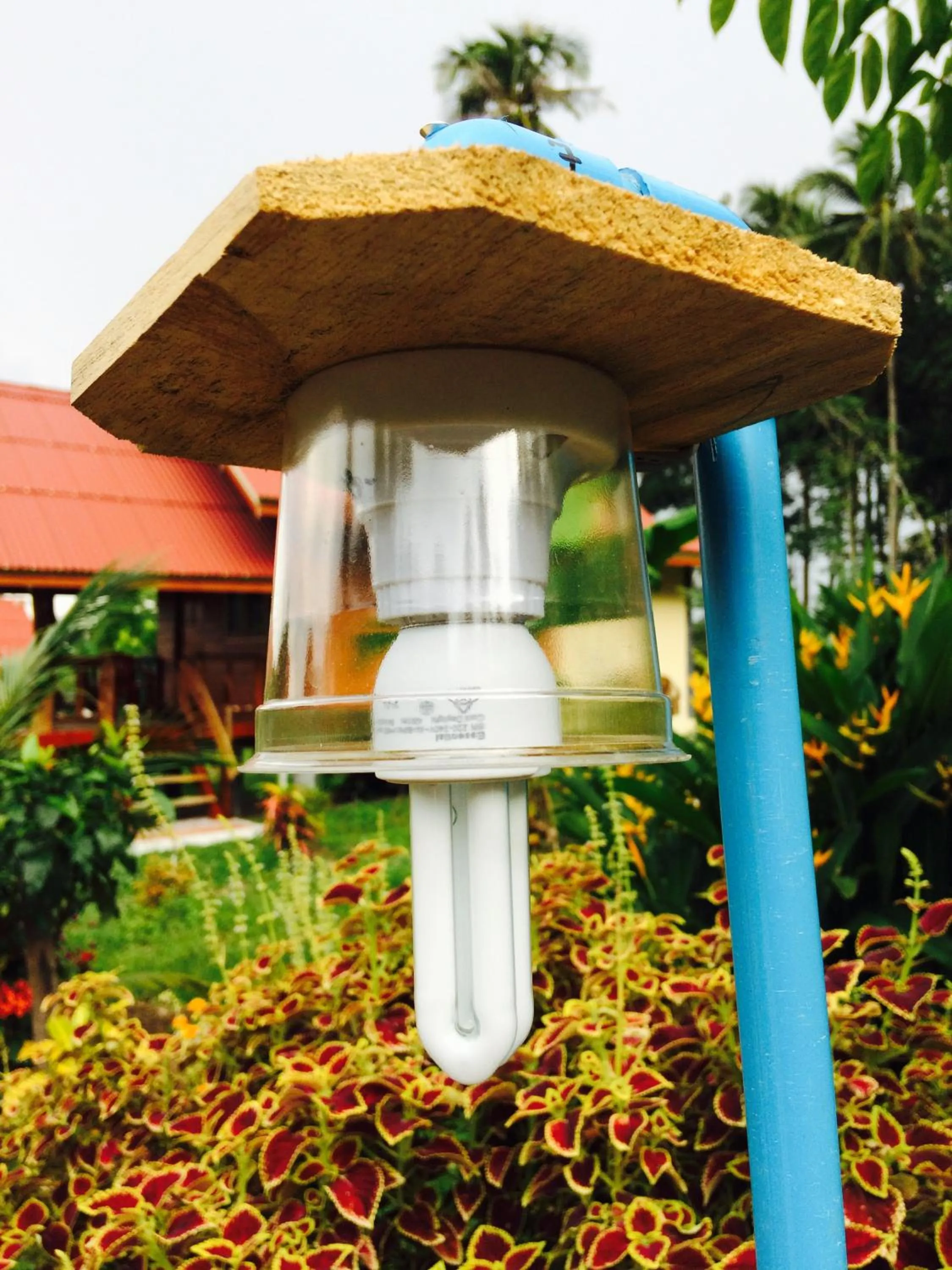 Property building in Gardenhomeresortkohjum