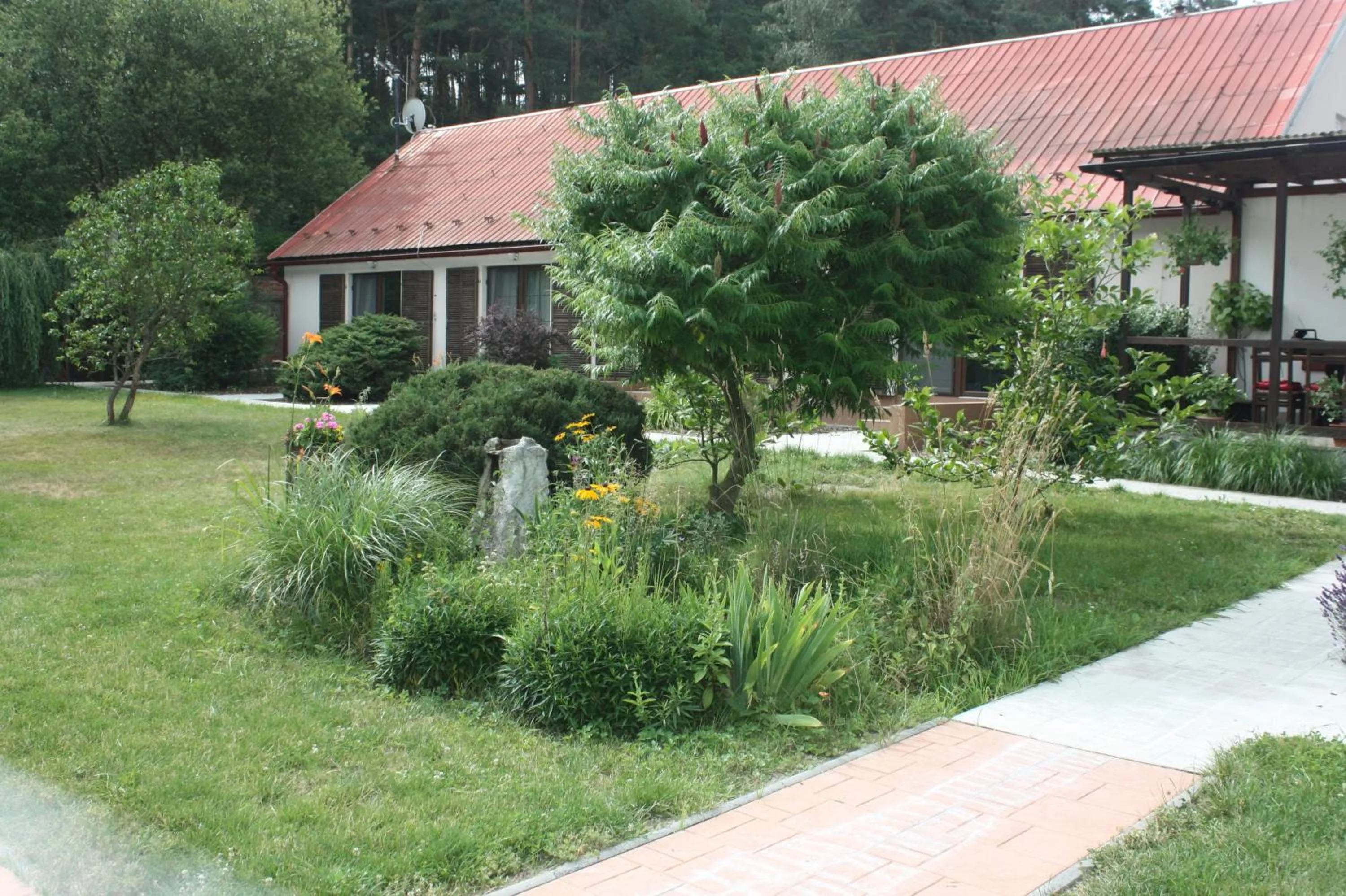Facade/entrance in Barvicka