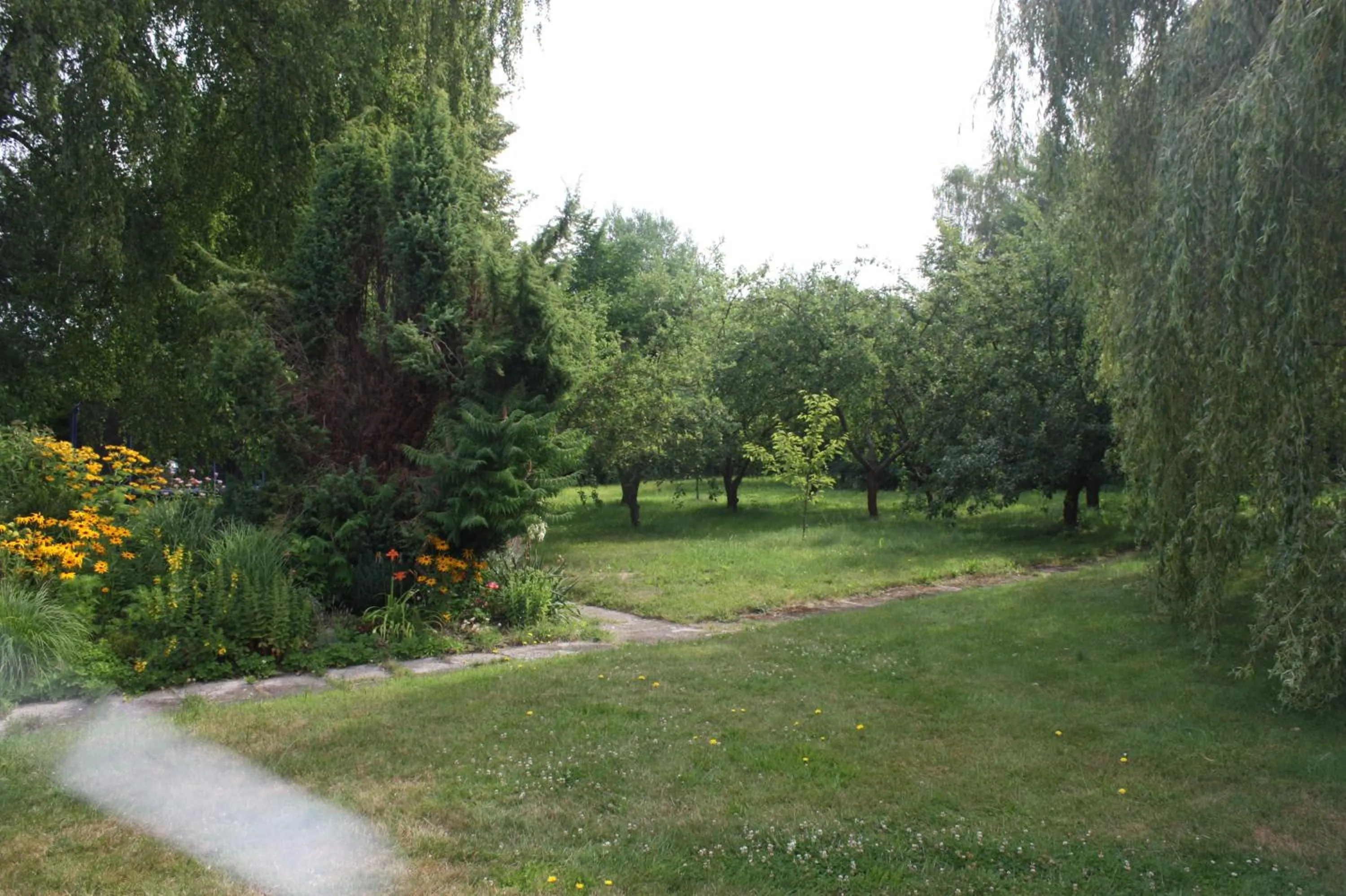 Garden view in Barvicka