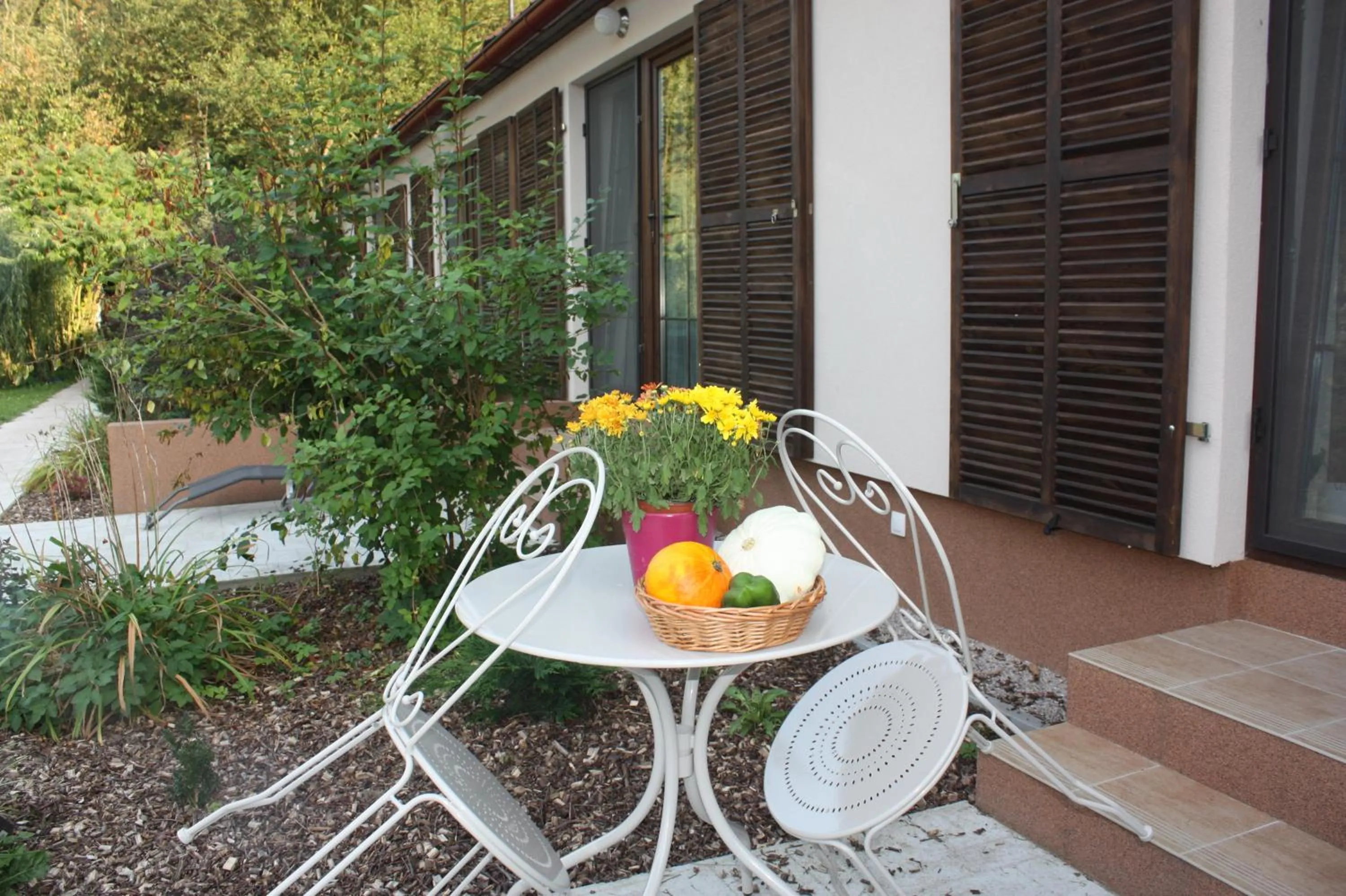 Balcony/Terrace in Barvicka