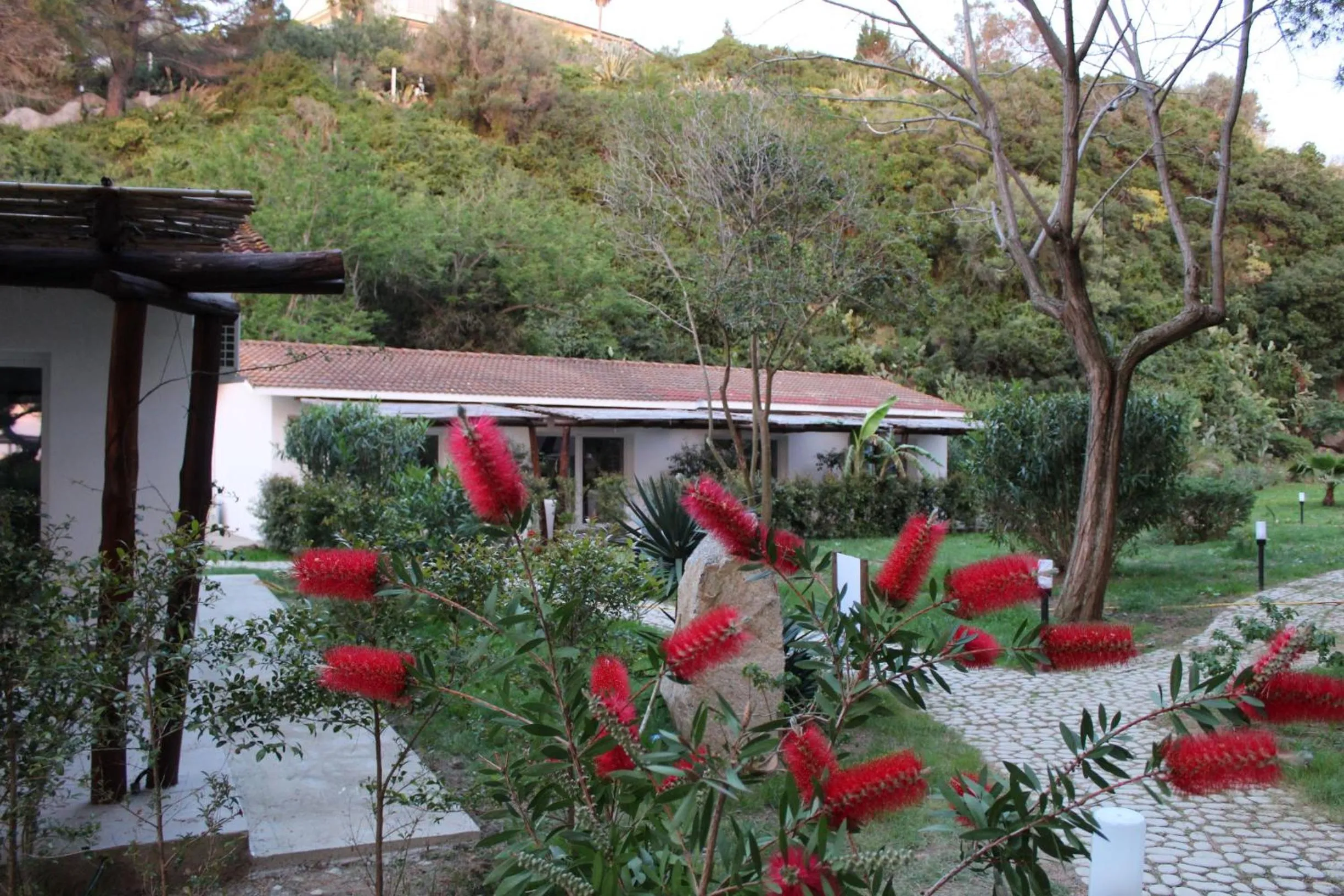 Garden in BV Kalafiorita Resort