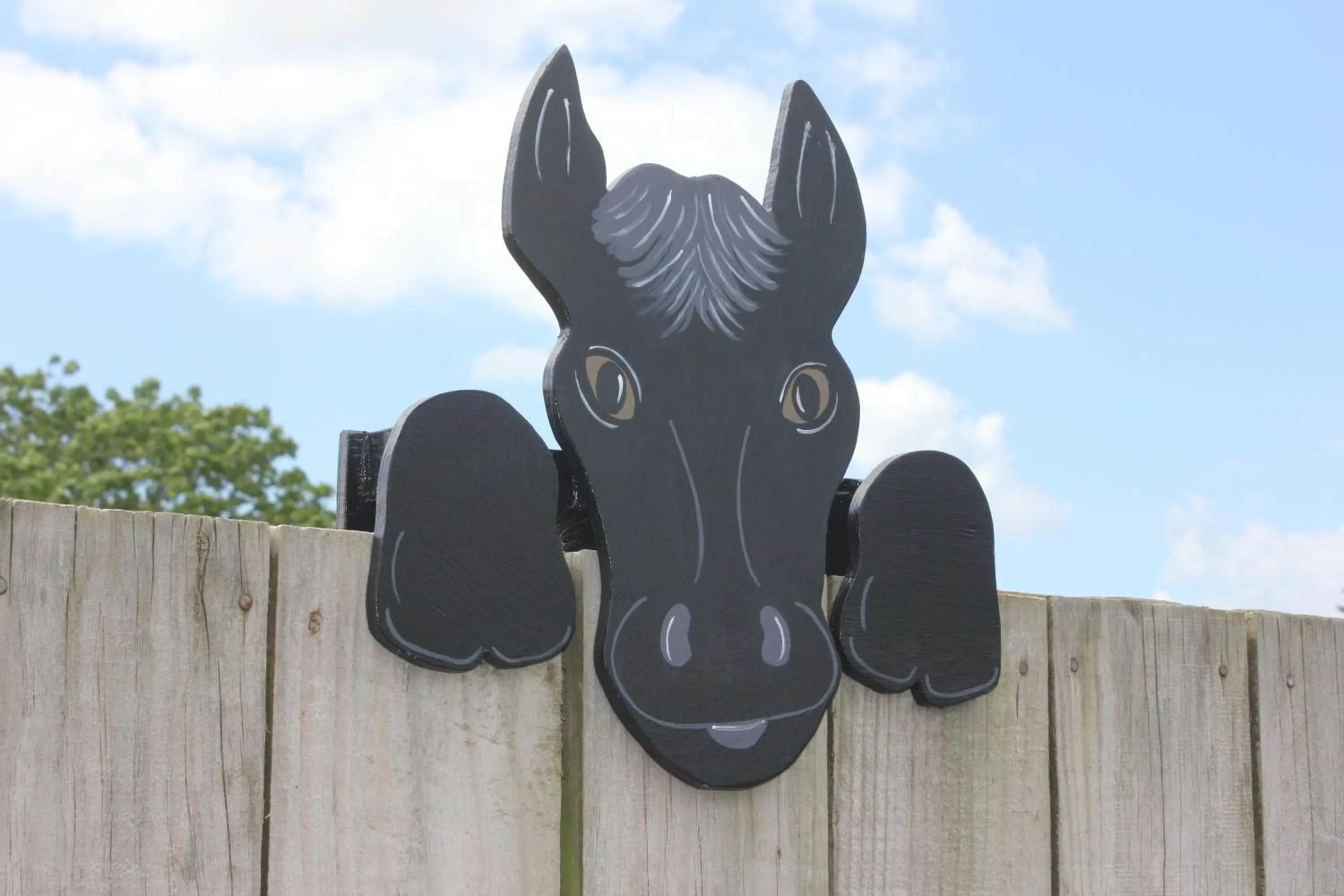 Garden in Kiwi Court Motel