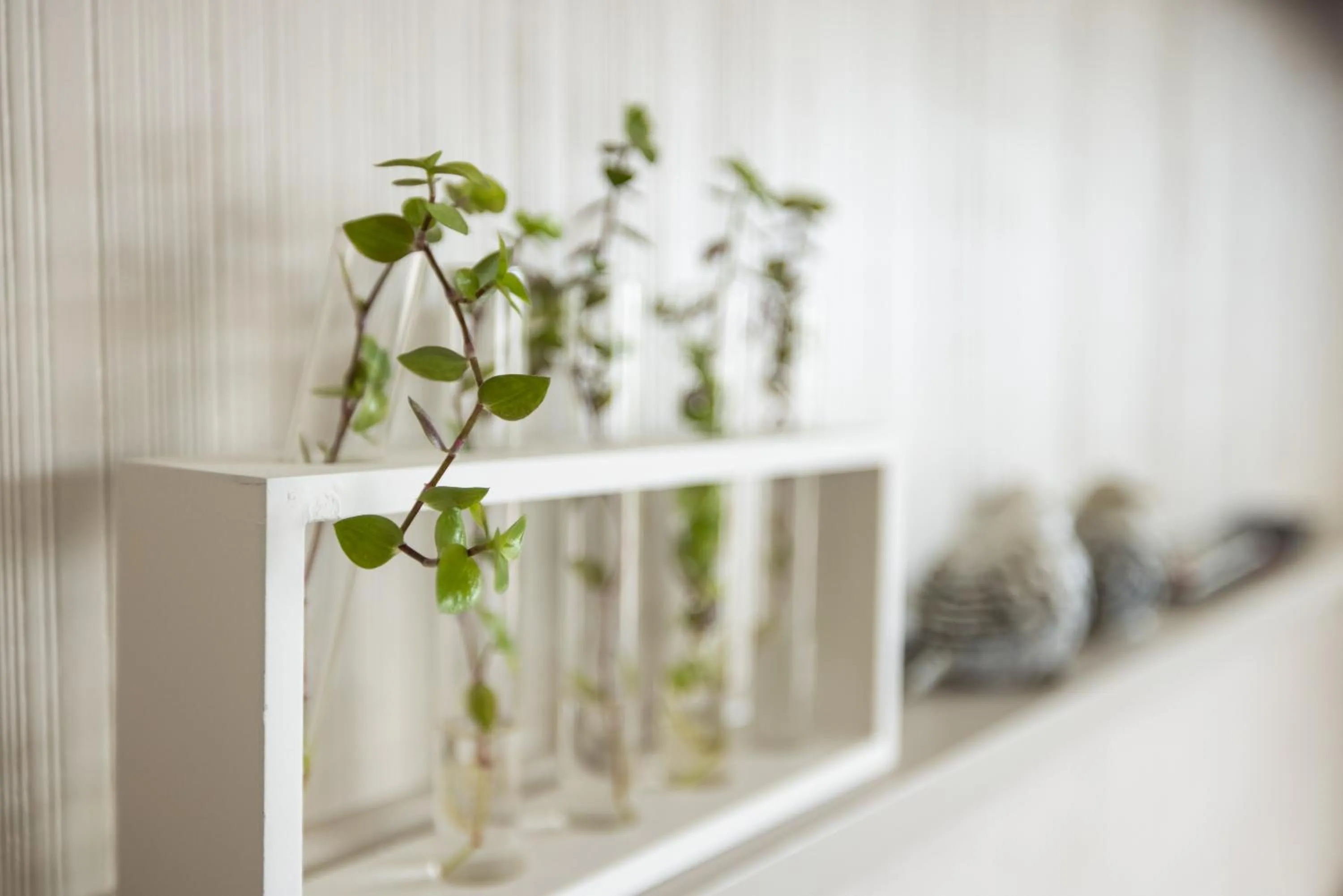 Decorative detail in Oamaru Backpackers