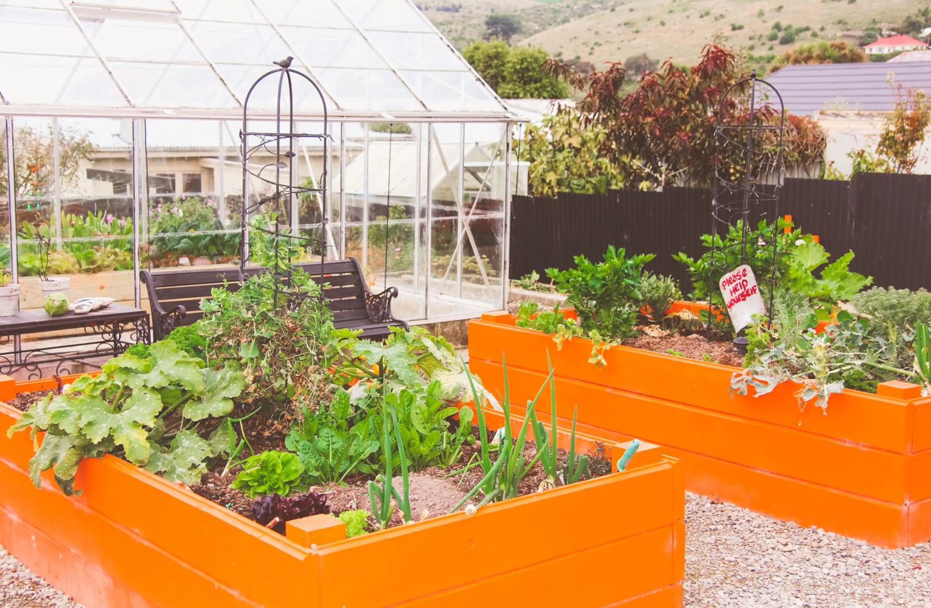 Garden in Oamaru Backpackers