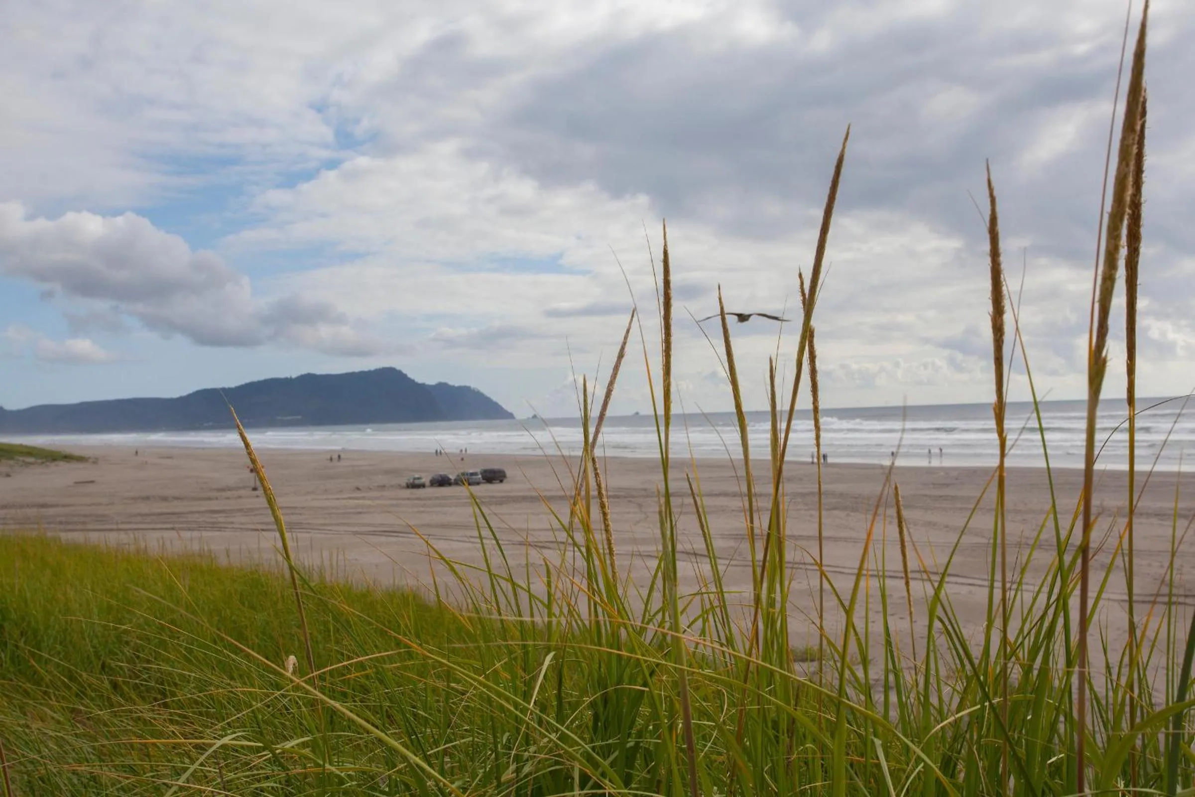 Beach in McMenamins Gearhart Hotel