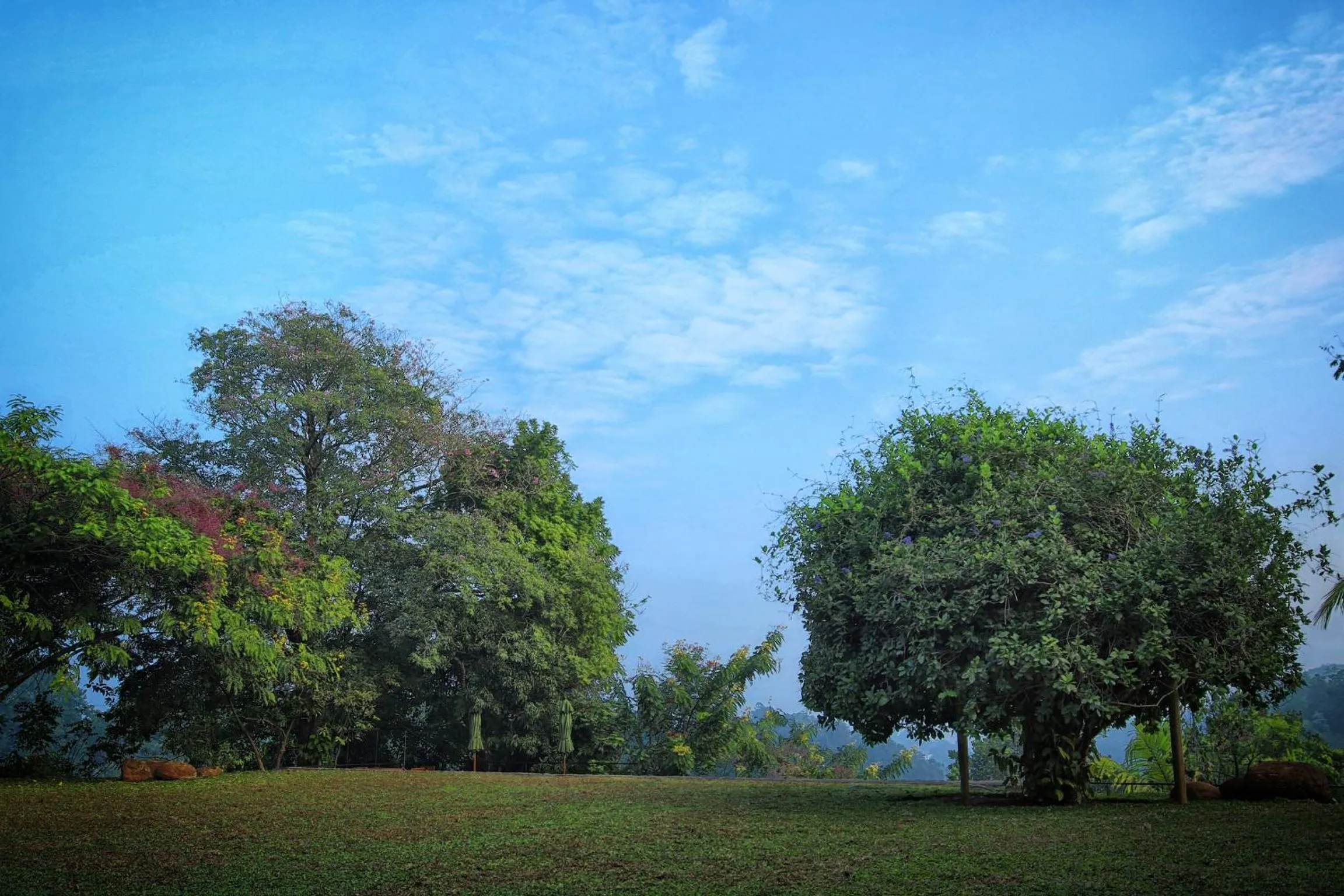 Garden in Kings Pavilion Luxury Hotel