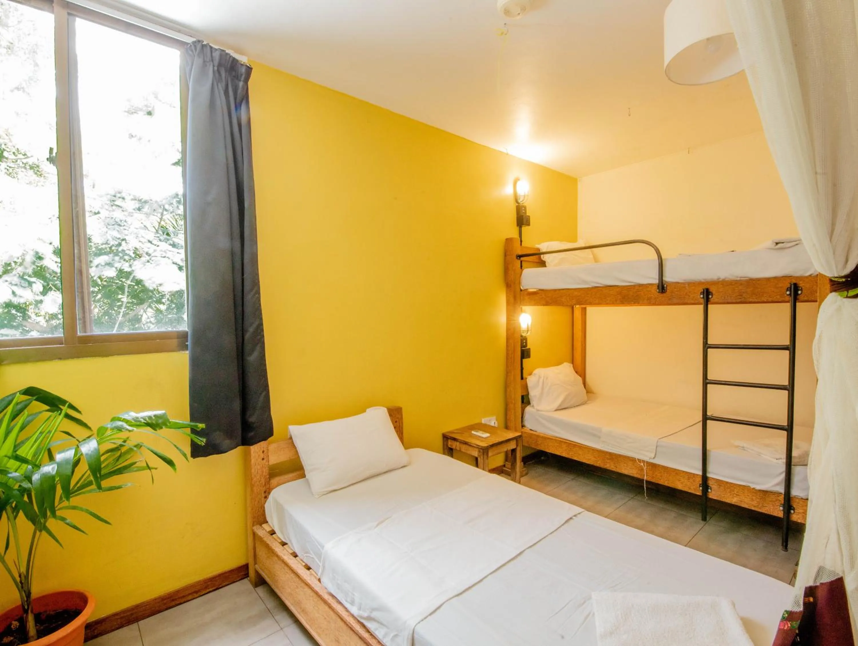 Photo of the whole room in The Slow Leopard