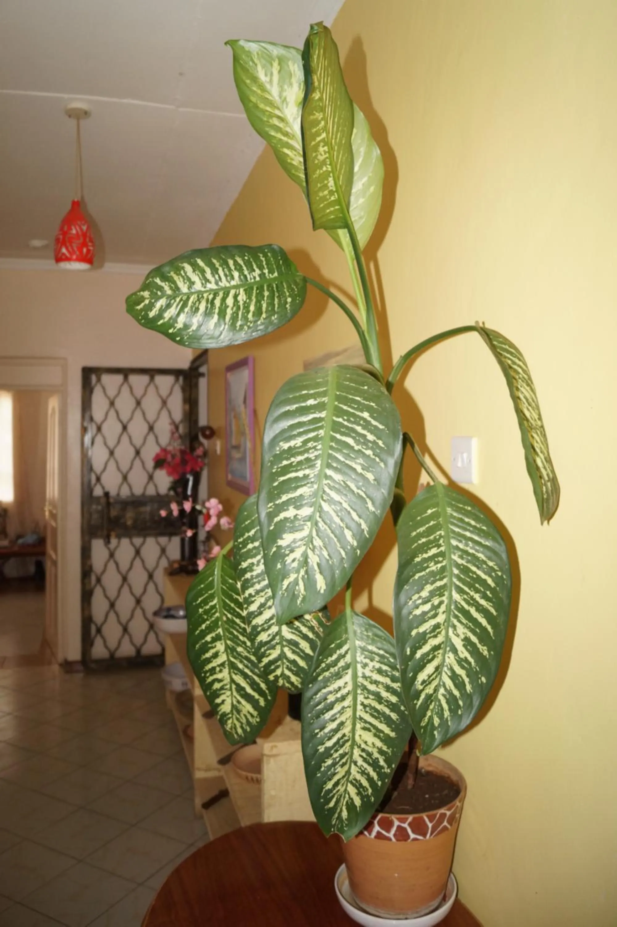 Facade/entrance in The Farmhouse Inn
